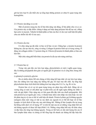 giữ lại kim loại Fe cần thiết cho sự tổng hợp những protein có chứa Fe quan trọng như
hemoglobin.
2.5. Protein vận động và co rút
Một số protein mang lại cho tế bào khả năng vận động, tế bào phân chia và co cơ.
Các protein này có đặc điểm: chúng ở dạng sợi hoặc dạng polymer hóa để tạo sợi, chẳng
hạn actin và myosin. Tubulin là thành phần cơ bản của thoi vô sắc (sợi xuất hiện khi phân
chia các nhiễm sắc thể về các cực).
2.6. Protein cấu trúc
Có chức năng tạo độ chắc và bảo vệ tế bào và mô. Chẳng hạn: -keratin là protein
không tan, cấu tạo nên tóc, sừng và móng. Collagen là protein hình sợi có trong xương. Ở
động vật collagen chiếm 1/3 protein tổng số. Fibroin (-keratin) là thành phần cơ bản của
kén tằm.
Một chức năng phổ biến khác của protein là cấu tạo nên màng sinh học.
2.7. Protein bảo vệ
Trong việc giải độc các kim loại nặng, phytochelatin có một ý nghĩa quan trọng,
đây là những polypeptide đơn giản có nguồn gốc từ glutation và có công thức chung như
sau:
(-glutamyl-cysteinyl)n-glycine
Do có nhiều nhóm SH nên chúng có khả năng kết hợp chặt với các kim loại nặng,
làm cho những kim loại nặng này không thể gây rối loạn trao đổi chất. Sự tổng hợp
phytochelatin được kích thích bởi những kim loại nặng như Cd, Cu, Ag, Bi và Au.
Protein bảo vệ có vai trò quan trọng trong các phản ứng miễn dịch. Động vật có
xương sống có một cơ chế phức tạp và phát triển cao để ngăn ngừa những tác nhân vi
sinh vật gây bệnh. Chức năng này có liên quan đến đặc tính của chuỗi polypeptide. Khi
một protein lạ (có nguồn gốc virus, vi khuẩn hoặc nấm) xâm nhập vào máu hoặc vào mô
thì phản ứng tự vệ của cơ thể sẽ xuất hiện rất nhanh. Protein lạ được gọi là kháng nguyên
(antigen) chứa một vùng có trật tự xác định các nguyên tử có thể kết hợp với tế bào
lympho và kích thích tế bào này sản sinh kháng thể. Những tế bào lympho tồn tại trong
hệ thống miễn dịch với số lượng 109
và trên bề mặt của nó có những vùng nhận biết nơi
mà kháng nguyên sẽ được kết hợp (Hình 1.6). Những vùng nhận biết này rất khác nhau
và đặc hiệu cho từng loại kháng nguyên. Trong cơ thể luôn có sẵn một lượng lớn các tế
bào lympho khác nhau và chúng có thể tổng hợp rất nhanh các kháng thể đặc hiệu khi
 
