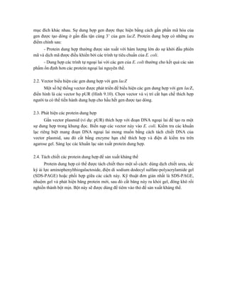 mục đích khác nhau. Sự dung hợp gen được thực hiện bằng cách gắn phần mã hóa của
gen được tạo dòng ở gần đầu tận cùng 3’ của gen lacZ. Protein dung hợp có những ưu
điểm chính sau:
- Protein dung hợp thường được sản xuất với hàm lượng lớn do sự khởi đầu phiên
mã và dịch mã được điều khiển bởi các trình tự tiêu chuẩn của E. coli.
- Dung hợp các trình tự ngoại lai với các gen của E. coli thường cho kết quả các sản
phẩm ổn định hơn các protein ngoại lai nguyên thể.
2.2. Vector biểu hiện các gen dung hợp với gen lacZ
Một số hệ thống vector được phát triển để biểu hiện các gen dung hợp với gen lacZ,
điển hình là các vector họ pUR (Hình 9.10). Chọn vector và vị trí cắt hạn chế thích hợp
người ta có thể tiến hành dung hợp cho hầu hết gen được tạo dòng.
2.3. Phát hiện các protein dung hợp
Gắn vector plasmid (ví dụ: pUR) thích hợp với đoạn DNA ngoại lai để tạo ra một
sự dung hợp trong khung đọc. Biến nạp các vector này vào E. coli. Kiểm tra các khuẩn
lạc riêng biệt mang đoạn DNA ngoại lai mong muốn bằng cách tách chiết DNA của
vector plasmid, sau đó cắt bằng enzyme hạn chế thích hợp và điện di kiểm tra trên
agarose gel. Sàng lọc các khuẩn lạc sản xuất protein dung hợp.
2.4. Tách chiết các protein dung hợp để sản xuất kháng thể
Protein dung hợp có thể được tách chiết theo một số cách: dùng dịch chiết urea, sắc
ký ái lực aminophenylthiogalactoside, điện di sodium dodecyl sulfate-polyacrylamide gel
(SDS-PAGE) hoặc phối hợp giữa các cách này. Kỹ thuật đơn giản nhất là SDS-PAGE,
nhuộm gel và phát hiện băng protein mới, sau đó cắt băng này ra khỏi gel, đông khô rồi
nghiền thành bột mịn. Bột này sẽ được dùng để tiêm vào thỏ để sản xuất kháng thể.
 