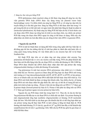2. Sàng lọc thư viện gen bằng PCR
PCR (polymerase chain reaction) cũng có thể được ứng dụng để sàng lọc các thư
viện genomic DNA hoặc cDNA được xây dựng trong các plasmid vector hoặc
bacteriophage vector. Ưu điểm chính của sàng lọc bằng PCR so với sàng lọc dựa trên lai
truyền thống là ít tốn thời gian hơn. Sàng lọc bằng PCR có thể được đảm bảo trong 3-4
giờ trong khi đó nó có thể mất một vài ngày trước khi phát hiện bằng kỹ thuật lai phân tử
(molecular hybridization). Kỹ thuật sàng lọc bằng PCR thể hiện chỉ thị về kích thước của
các đoạn chèn DNA được tạo dòng hơn là trình tự của đoạn chèn, tuy nhiên các primer
PCR đặc trưng cho đoạn chèn DNA ngoại lai cũng có thể được sử dụng. Điều này cho
phép khảo sát chính xác hơn đặc điểm của các dòng từ thư viện cDNA và genomic DNA.
▪ Nguyên tắc của PCR
PCR là một kỹ thuật được sử dụng phổ biến trong công nghệ sinh học hiện đại và
đã đóng góp rất lớn cho những tiến bộ về sinh học phân tử, đánh dấu một bước tiến vô
cùng quan trọng tương đương với việc khám phá ra các enzyme hạn chế và kỹ thuật
Southern blot.
Kỹ thuật PCR dựa trên cơ sở phản ứng mở rộng primer nhờ enzyme Taq
polymerase để khuếch đại in vitro các nucleic acid đặc trưng. PCR cho phép khuếch đại
theo hàm mũ lên đến hàng triệu lần các đoạn DNA có chiều dài khoảng từ 200-3.000 bp.
Đoạn DNA được khuếch đại (DNA đích) được nhận diện nhờ cặp primer đặc trưng
(oligonucleotide) thường có chiều dài khoảng 20 nucleotide.
Taq polymerase là một loại enzyme DNA polymerase chịu nhiệt (có ở vi khuẩn
chịu nhiệt độ cao Thermus aquaticus) được dùng để tổng hợp các đoạn DNA mới trong
môi trường có 4 loại deoxyribonucleotide (dATP, dCTP, dGTP và dTTP) và hai primer,
trên cơ sở khuôn mẫu của một đoạn DNA nhất định đã biết hoặc chưa biết trình tự. Các
đoạn DNA mới hình thành lại được sử dụng làm khuôn mẫu. Sau nhiều chu kỳ, số lượng
đoạn DNA nói trên được nhân lên gấp nhiều lần, nhờ vậy có thể đủ số lượng để tách ra,
phân tích trình tự hoặc tạo dòng... Primer ở bên trái tác động trên sợi DNA 3’-5’ được gọi
là primer thuận (forward primer-ký hiệu là F). Primer ở bên phải tác động trên sợi DNA
5’-3’ được gọi là primer ngược (reverse primer-ký hiệu là R).
Nguyên tắc của PCR được trình bày trong hình 9.12. Theo đó, từ chu kỳ thứ hai
Taq polymerase bắt đầu tạo ra các đoạn DNA có chiều dài xác định. Các primer thường là
một oligonucleotide tổng hợp (synthetic oligonucleotide) có khoảng 10-20 nucleotide
hoặc dài hơn. Nếu biết trình tự của đoạn gen cần khuếch đại thì có thể tổng hợp nhân tạo
các primer tương ứng để thực hiện PCR và tách chúng ra bằng kỹ thuật điện di. PCR
thường tiến hành khoảng 25-35 chu kỳ, qua đó từ 10-6
g DNA ban đầu có thể khuếch đại
(amplification) lên tới trên 1 g (khoảng 2 kb). Mỗi chu kỳ PCR bao gồm ba giai đoạn có
nhiệt độ khác nhau:
 