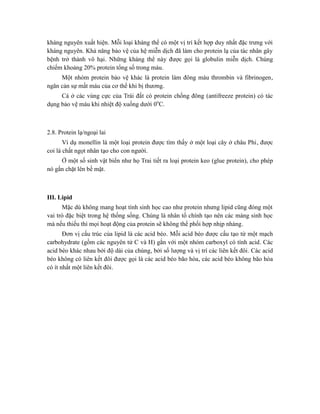 kháng nguyên xuất hiện. Mỗi loại kháng thể có một vị trí kết hợp duy nhất đặc trưng với
kháng nguyên. Khả năng bảo vệ của hệ miễn dịch đã làm cho protein lạ của tác nhân gây
bệnh trở thành vô hại. Những kháng thể này được gọi là globulin miễn dịch. Chúng
chiếm khoảng 20% protein tổng số trong máu.
Một nhóm protein bảo vệ khác là protein làm đông máu thrombin và fibrinogen,
ngăn cản sự mất máu của cơ thể khi bị thương.
Cá ở các vùng cực của Trái đất có protein chống đông (antifreeze protein) có tác
dụng bảo vệ máu khi nhiệt độ xuống dưới 0o
C.
2.8. Protein lạ/ngoại lai
Ví dụ monellin là một loại protein được tìm thấy ở một loại cây ở châu Phi, được
coi là chất ngọt nhân tạo cho con người.
Ở một số sinh vật biển như họ Trai tiết ra loại protein keo (glue protein), cho phép
nó gắn chặt lên bề mặt.
III. Lipid
Mặc dù không mang hoạt tính sinh học cao như protein nhưng lipid cũng đóng một
vai trò đặc biệt trong hệ thống sống. Chúng là nhân tố chính tạo nên các màng sinh học
mà nếu thiếu thì mọi hoạt động của protein sẽ không thể phối hợp nhịp nhàng.
Đơn vị cấu trúc của lipid là các acid béo. Mỗi acid béo được cấu tạo từ một mạch
carbohydrate (gồm các nguyên tử C và H) gắn với một nhóm carboxyl có tính acid. Các
acid béo khác nhau bởi độ dài của chúng, bởi số lượng và vị trí các liên kết đôi. Các acid
béo không có liên kết đôi được gọi là các acid béo bão hòa, các acid béo không bão hòa
có ít nhất một liên kết đôi.
 