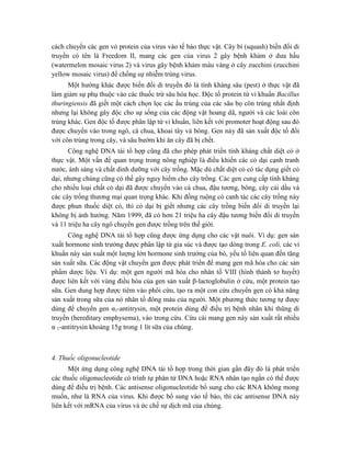 cách chuyển các gen vỏ protein của virus vào tế bào thực vật. Cây bí (squash) biến đổi di
truyền có tên là Freedom II, mang các gen của virus 2 gây bệnh khảm ở dưa hấu
(watermelon mosaic virus 2) và virus gây bệnh khảm màu vàng ở cây zucchini (zucchini
yellow mosaic virus) để chống sự nhiễm trùng virus.
Một hướng khác được biến đổi di truyền đó là tính kháng sâu (pest) ở thực vật đã
làm giảm sự phụ thuộc vào các thuốc trừ sâu hóa học. Độc tố protein từ vi khuẩn Bacillus
thuringiensis đã giết một cách chọn lọc các ấu trùng của các sâu bọ côn trùng nhất định
nhưng lại không gây độc cho sự sống của các động vật hoang dã, người và các loài côn
trùng khác. Gen độc tố được phân lập từ vi khuẩn, liên kết với promoter hoạt động sau đó
được chuyển vào trong ngô, cà chua, khoai tây và bông. Gen này đã sản xuất độc tố đối
với côn trùng trong cây, và sâu bướm khi ăn cây đã bị chết.
Công nghệ DNA tái tổ hợp cũng đã cho phép phát triển tính kháng chất diệt cỏ ở
thực vật. Một vấn đề quan trọng trong nông nghiệp là điều khiển các cỏ dại cạnh tranh
nước, ánh sáng và chất dinh dưỡng với cây trồng. Mặc dù chất diệt cỏ có tác dụng giết cỏ
dại, nhưng chúng cũng có thể gây nguy hiểm cho cây trồng. Các gen cung cấp tính kháng
cho nhiều loại chất cỏ dại đã được chuyển vào cà chua, đậu tương, bông, cây cải dầu và
các cây trồng thương mại quan trọng khác. Khi đồng ruộng có canh tác các cây trồng này
được phun thuốc diệt cỏ, thì cỏ dại bị giết nhưng các cây trồng biến đổi di truyền lại
không bị ảnh hưởng. Năm 1999, đã có hơn 21 triệu ha cây đậu tương biến đổi di truyền
và 11 triệu ha cây ngô chuyển gen được trồng trên thế giới.
Công nghệ DNA tái tổ hợp cũng được ứng dụng cho các vật nuôi. Ví dụ: gen sản
xuất hormone sinh trưởng được phân lập từ gia súc và được tạo dòng trong E. coli, các vi
khuẩn này sản xuất một lượng lớn hormone sinh trưởng của bò, yếu tố liên quan đến tăng
sản xuất sữa. Các động vật chuyển gen được phát triển để mang gen mã hóa cho các sản
phẩm dược liệu. Ví dụ: một gen người mã hóa cho nhân tố VIII (hình thành tơ huyết)
được liên kết với vùng điều hòa của gen sản xuất β-lactoglobulin ở cừu, một protein tạo
sữa. Gen dung hợp được tiêm vào phôi cừu, tạo ra một con cừu chuyển gen có khả năng
sản xuất trong sữa của nó nhân tố đông máu của người. Một phương thức tương tự được
dùng để chuyển gen α1-antitrysin, một protein dùng để điều trị bệnh nhân khí thũng di
truyền (hereditary emphysema), vào trong cừu. Cừu cái mang gen này sản xuất rất nhiều
α 1-antitrysin khoảng 15g trong 1 lít sữa của chúng.
4. Thuốc oligonucleotide
Một ứng dụng công nghệ DNA tái tổ hợp trong thời gian gần đây đó là phát triển
các thuốc oligonucleotide có trình tự phân tử DNA hoặc RNA nhân tạo ngắn có thể được
dùng để điều trị bệnh. Các antisense oligonucleotide bổ sung cho các RNA không mong
muốn, như là RNA của virus. Khi được bổ sung vào tế bào, thì các antisense DNA này
liên kết với mRNA của virus và ức chế sự dịch mã của chúng.
 