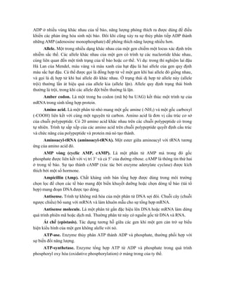 ADP ở nhiều vùng khác nhau của tế bào, năng lượng phóng thích ra được dùng để điều
khiển các phản ứng hóa sinh nội bào. Đôi khi cũng xảy ra sự thủy phân tiếp ADP thành
những AMP (adenosine monophosphate) để phóng thích năng lượng nhiều hơn.
Allele. Một trong nhiều dạng khác nhau của một gen chiếm một locus xác định trên
nhiễm sắc thể. Các allele khác nhau của một gen có trình tự các nucleotide khác nhau,
cùng liên quan đến một tính trạng của tế bào hoặc cơ thể. Ví dụ: trong thí nghiệm lai đậu
Hà Lan của Mendel, màu vàng và màu xanh của hạt đậu là hai allele của gen quy định
màu sắc hạt đậu. Cá thể được gọi là đồng hợp tử về một gen khi hai allele đó giống nhau,
và gọi là dị hợp tử khi hai allele đó khác nhau. Ở trạng thái dị hợp tử allele này (allele
trội) thường lấn át hiệu quả của allele kia (allele lặn). Allele quy định trạng thái bình
thường là trội, trong khi các allele đột biến thường là lặn.
Amber codon. Là một trong ba codon (mã bộ ba UAG) kết thúc một trình tự của
mRNA trong sinh tổng hợp protein.
Amino acid. Là một phân tử nhỏ mang một gốc amine (-NH3) và một gốc carboxyl
(-COOH) liên kết với cùng một nguyên tử carbon. Amino acid là đơn vị cấu trúc cơ sở
của chuỗi polypeptide. Có 20 amino acid khác nhau trên các chuỗi polypeptide có trong
tự nhiên. Trình tự sắp xếp của các amino acid trên chuỗi polypeptide quyết định cấu trúc
và chức năng của polypeptide và protein mà nó tạo thành.
Aminoacyl-tRNA (aminoacyl-tRNA). Một ester giữa aminoacyl với tRNA tương
ứng của amino acid đó.
AMP vòng (cyclic AMP, cAMP). Là một phân tử AMP mà trong đó gốc
phosphate được liên kết với vị trí 3’ và cả 5’ của đường ribose. cAMP là thông tin thứ hai
ở trong tế bào. Sự tạo thành cAMP (xúc tác bởi enzyme adenylate cyclase) được kích
thích bởi một số hormone.
Ampicillin (Amp). Chất kháng sinh bán tổng hợp được dùng trong môi trường
chọn lọc để chọn các tế bào mang đột biến khuyết dưỡng hoặc chọn dòng tế bào (tái tổ
hợp) mang đoạn DNA được tạo dòng.
Antisense. Trình tự không mã hóa của một phân tử DNA sợi đôi. Chuỗi cây (chuỗi
ngược chiều) bổ sung với mRNA và làm khuôn mẫu cho sự tổng hợp mRNA.
Antisense molecule. Là một phân tử gắn đặc hiệu lên DNA hoặc mRNA làm dừng
quá trình phiên mã hoặc dịch mã. Thường phân tử này có nguồn gốc từ DNA và RNA.
Át chế (epistasis). Tác dụng tương hỗ giữa các gen khi một gen cản trở sự biểu
hiện kiểu hình của một gen không alelle với nó.
ATP-ase. Enzyme thủy phân ATP thành ADP và phosphate, thường phối hợp với
sự biến đổi năng lượng.
ATP-synthetase. Enzyme tổng hợp ATP từ ADP và phosphate trong quá trình
phosphoryl oxy hóa (oxidative phosphorylation) ở màng trong của ty thể.
 