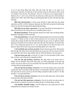 sự tái tổ hợp tương đồng hoặc được biến đổi trong một đơn vị sao chép tự trị
(autonomous replicon). Sự biến nạp có thể xuất hiện trong các điều kiện tự nhiên ở một
số vi khuẩn (ví dụ: Bacillus, Haemophilus, Neisseria và Streptococcus), nhưng ở nhiều vi
khuẩn (ví dụ: E. coli) và các cơ thể sinh vật eukaryote sự biến nạp chỉ có thể xuất hiện ở
những tế bào “thấm” được DNA bằng các phương pháp nhân tạo như: hóa biến nạp, điện
biến nạp...
Biến tính (denaturation). Là hiện tượng chuyển từ dạng mạch kép sang dạng
mạch đơn của DNA và RNA thường do nhiệt gây nên. Biến tính của protein là hiện tượng
chuyển từ cấu hình hoạt động thành dạng không hoạt động.
Biểu hiện của gen (gene expression). Là các quá trình phiên mã (transcription) và
dịch mã (translation) của một gen để tạo ra sản phẩm protein của nó.
Bộ khung (backbone). Thuật ngữ được dùng để chỉ chuỗi xoắn của khung đường-
phosphate trong phân tử DNA mạch kép.
Cảm ứng (induction). Liên quan đến khả năng tổng hợp một số enzyme (sản phẩm
của gen) ở vi khuẩn chỉ khi có mặt cơ chất (substrate) của các enzyme này trong môi
trường. Khi sử dụng cho khái niệm điều hòa biểu hiện của gen, từ này có nghĩa là sự khởi
động quá trình phiên mã do tương tác giữa một chất cảm ứng (inducer) với protein điều
hòa. Ví dụ: trường hợp operon lac ở E. coli, lactose đóng vai trò chất cảm ứng có tác
dụng mở operon để các gen trong operon hoạt động (phiên mã và dịch mã).
CAP (catabolite gene activator protein). Protein hoạt hóa gen dị hóa. Một protein
điều hòa đặc biệt, kiểm soát sự khởi đầu phiên mã các gen sản xuất các enzyme cần thiết
cho một tế bào, để có thể sử dụng những “thức ăn” khác khi không có mặt của glucose.
Cặp bazơ (base pair, bp). Là liên kết A-T hoặc C-G trên một phân tử DNA mạch
kép, và là đơn vị đo chiều dài của một phân tử DNA.
Cấu trúc bậc một (primary structure). Bao gồm trình tự các amino acid và
những cầu nối disulfide trong chuỗi hoặc giữa các chuỗi polypeptide. Ở trường hợp
nucleic acid, đó là trình tự của các nucleotide trên một chuỗi DNA hoặc RNA được nối
với nhau nhờ liên kết phosphodiester.
Cấu trúc bậc hai (secondary structure). Là sự nối liền những amino acid từ đầu
nọ (đầu tận cùng N) tới đầu kia (đầu tận cùng C) của một phân tử protein. Cũng như vậy,
trên một trình tự nucleic acid là sự nối liền những nucleotide từ đầu nọ (đầu 5’) tới đầu
kia (đầu 3’) của một chuỗi DNA.
Cấu trúc bậc ba (tertiary structure). Cấu trúc ba chiều dạng cuộn xoắn của phân
tử protein hoặc chuỗi polynucleotide.
Cấu trúc bậc bốn (quaternary structure). Cấu trúc ba chiều của một protein có
nhiều tiểu đơn vị (subunit), theo kiểu mà những tiểu đơn vị kết hợp khớp với nhau.
Cầu disulfide (disulfide bridge). Liên kết đồng hóa trị tạo thành giữa hai chuỗi
polypeptide qua trung gian của một gốc cystine.
 