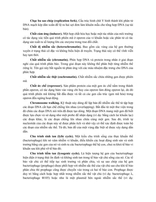 Chạc ba sao chép (replication fork). Cấu trúc hình chữ Y hình thành khi phân tử
DNA mạch kép dãn xoắn để lộ ra hai sợi đơn làm khuôn mẫu cho tổng hợp DNA (sự tái
bản).
Chất cảm ứng (inducer). Một hợp chất hóa học hoặc một tác nhân của môi trường
có tác dụng xúc tiến quá trình phiên mã ở operon của vi khuẩn hoặc các phân tử có tác
dụng sản xuất ra số lượng lớn các enzyme trong trao đổi chất.
Chất dị nhiễm sắc (heterochromatin). Bao gồm các vùng của hệ gen thường
xuyên ở trạng thái cô đặc và không biểu hiện di truyền. Trạng thái này có thể vĩnh viễn
hay tạm thời.
Chất nhiễm sắc (chromatin). Phức hợp DNA và protein trong nhân ở giai đoạn
nghỉ của quá trình phân bào. Trong giai đoạn này không thể phân biệt từng nhiễm thể
riêng lẻ. Tên gọi này bắt nguồn từ phản ứng với các màu nhuộm đặc trưng cho DNA của
phức hợp.
Chất nhiễm sắc thật (euchromatin). Chất nhiễm sắc chứa những gen được phiên
mã.
Chất ức chế (repressor). Sản phẩm protein của một gen ức chế nằm trong thành
phần operon, có tác dụng bám vào vùng chỉ huy của operon làm đóng operon lại, do đó
quá trình phiên mã không bắt đầu được và tất cả các gen cấu trúc (gen mã hóa) trong
operon đều ngừng hoạt động.
Chromosome walking. Kỹ thuật này dùng để lập bản đồ nhiễm sắc thể từ tập hợp
các đoạn DNA cắt hạn chế chồng lên nhau (overlapping). Bắt đầu từ một thư viện trong
đó chứa các đoạn DNA nói trên đã được tạo dòng. Một đoạn DNA mang một gen đã biết
được lựa chọn và sử dụng như một probe để nhận dạng (ví dụ: bằng cách lai khuẩn lạc)
các đoạn khác, là các đoạn chồng lên nhau chứa cùng một gen. Sau đó, trình tự
nucleotide của các đoạn này sẽ được phân tích và nhờ vậy có thể xác định được toàn bộ
các đoạn của nhiễm sắc thể. Từ đó, bản đồ của một vùng đặc biệt sẽ được xây dựng dần
dần.
Chu trình sinh tan (lylic cycle). Một kiểu chu trình sống của thực khuẩn thể
(bacteriophage) khi nó xâm nhiễm vi khuẩn, điều khiển các hoạt động sinh sản và sinh
trưởng bằng các gen của nó và sinh ra các bacteriophage thế hệ con, chui ra khỏi tế bào vi
khuẩn sau khi phá vỡ tế bào đó.
Chu trình tiềm tan (lysogenic cycle). Là hiện tượng hệ gen của bacteriophage
hiện diện ở trạng thái ổn định và không sinh tan trong tế bào vật chủ sống của nó. Các tế
bào vật chủ có thể tiếp tục sinh trưởng và phân chia, và sự sao chép của hệ gen
bacteriophage (prophage) được phối hợp với nhiễm sắc thể của vật chủ sao cho khi tế bào
phân chia thì prophage cũng được chuyển vào trong cả hai tế bào con. Prophage được
duy trì bằng cách hoặc hợp nhất trong nhiễm sắc thể vật chủ (ví dụ: bacteriophage λ,
bacteriophage Φ105) hoặc như là một plasmid bên ngoài nhiễm sắc thể (ví dụ:
 