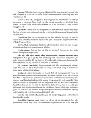 Episome. Nhân tố di truyền có trong vi khuẩn, có khả năng tự sao chép trong tế bào
chất, đồng thời lại có thể xen vào nhiễm sắc thể chính của vi khuẩn và sao chép đồng thời
với nhiễm sắc thể.
Exon. Các đoạn DNA trong gen có chức năng phiên mã. Exon tồn tại ở cả sinh vật
prokaryote và eukaryote. Riêng ở sinh vật eukaryote các exon nằm xen kẽ với các đoạn
intron. Các intron chiếm tới 90% tổng số DNA của tế bào eukaryote và không có chức
năng phiên mã.
Eukaryote. Sinh vật có tế bào mang nhân điển hình (nhân thật) nghĩa là nhân được
bao bọc bởi màng nhân và tham gia vào hai cơ chế phân bào quan trọng là nguyên phân
và giảm phân.
Exonuclease. Loại enzyme nuclease chỉ tác động vào đầu tận cùng của phân tử
nucleic acid, cắt ra từng nucleotide một theo thời gian. Chúng có thể chuyển hóa theo đầu
5’ hoặc 3’ của sợi DNA.
Ex vivo. Thuật ngữ dùng để chỉ các thí nghiệm thực hiện trên tế bào nuôi cấy, các
tế bào này sau đó sẽ được đưa vào một cơ thể sống.
-galactosidase. Enzyme được mã hóa bởi gen lacZ. Enzyme này thủy phân
lactose thành glucose và galactose.
Gây đột biến định hướng bằng oligonucleotide (oligonucleotide-directed
mutagenesis). Còn gọi là gây đột biến định hướng điểm (site-directed mutagenesis), là
quá trình tạo ra một biến đổi xác định trên DNA bằng cách sử dụng một oligonucleotide
tổng hợp (primer) có một vài biến đổi trong trình tự nucleotide.
Gel chậm (gel retardation). Phương pháp xác định điểm bám của protein trên các
đoạn DNA, dựa vào độ di chuyển chậm của chúng so với DNA không bị protein bám
trong các thí nghiệm điện di trên gel.
Gen (gene). Là đơn vị di truyền, yếu tố quyết định một tính trạng cơ thể. Thông tin
di truyền của các gen được mã hóa trong DNA quyết định tính biến dị của loài và của cá
thể. DNA là một chuỗi bao gồm các đơn vị nucleotide, có bốn loại nucleotide mang bốn
nitrogen base khác nhau là adenine (A), guanine (G), cytosine (C), và thymine (T). Trình
tự các nucleotide của một gen xác định một polypeptide hoặc một RNA. Gen có khả năng
bị đột biến. Các gen chủ yếu nằm dọc theo nhiễm sắc thể ở trong nhân tế bào. Mỗi gen
chiếm một vị trí xác định trên nhiễm sắc thể gọi là locus. Gen có thể tồn tại ở nhiều dạng
gọi là các allele. Các gen biểu hiện thông qua các phân tử do chúng sinh ra là RNA (trong
quá trình phiên mã) và protein (trong quá trình dịch mã).
Gen cấu trúc (structural gene) hay gen mã hóa (coding gene). Là trình tự mã
hóa sản phẩm protein.
Gen chỉ thị (reporter gene). Là một gen mã hóa mà sản phẩm của nó được trắc
nghiệm một cách dễ dàng (ví dụ chloramphenicol acetyltranferase), nó có thể được gắn
 
