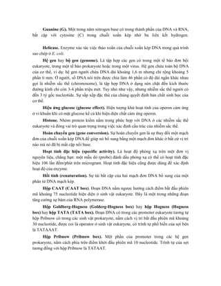 Guanine (G). Một trong năm nitrogen base có trong thành phần của DNA và RNA,
bắt cặp với cytosine (C) trong chuỗi xoắn kép nhờ ba liên kết hydrogen.
Helicase. Enzyme xúc tác việc tháo xoắn của chuỗi xoắn kép DNA trong quá trình
sao chép ở E. coli.
Hệ gen hay bộ gen (genome). Là tập hợp các gen có trong một tế bào đơn bội
eukaryote, trong một tế bào prokaryote hoặc trong một virus. Hệ gen chứa toàn bộ DNA
của cơ thể, ví dụ: hệ gen người chứa DNA dài khoảng 1,6 m nhưng chỉ rộng khoảng 5
phần tỉ mm. Ở người, số DNA nói trên được chia làm 46 phần có độ dài ngắn khác nhau
gọi là nhiễm sắc thể (chromosome), là tập hợp DNA ở dạng nén chặt đến kích thước
đường kính chỉ còn 3-4 phần triệu mét. Tuy nhỏ như vậy, nhưng nhiễm sắc thể người có
đến 3 tỷ gốc nucleotide. Sự sắp xếp đặc thù của chúng quyết định bản chất sinh học của
cơ thể.
Hiệu ứng glucose (glucose effect). Hiện tượng khử hoạt tính của operon cảm ứng
ở vi khuẩn khi có mặt glucose kể cả khi hiện diện chất cảm ứng operon.
Histone. Nhóm protein kiềm nằm trong phức hợp với DNA ở các nhiễm sắc thể
eukaryote và đóng vai trò quan trọng trong việc xác định cấu trúc của nhiễm sắc thể.
Hoán chuyển gen (gene conversion). Sự hoán chuyển gen là sự thay đổi một mạch
đơn của chuỗi xoắn kép DNA để giúp nó bổ sung bằng một mạch đơn khác ở bất cứ vị trí
nào mà nó đã bị mất cặp nối base.
Hoạt tính đặc hiệu (specific activity). Là hoạt độ phóng xạ trên một đơn vị
nguyên liệu, chẳng hạn: một mẫu dò (probe) đánh dấu phóng xạ có thể có hoạt tính đặc
hiệu 106 lần đếm/phút trên microgram. Hoạt tính đặc hiệu cũng được dùng để xác định
hoạt độ của enzyme.
Hồi tính (renaturation). Sự tái bắt cặp của hai mạch đơn DNA bổ sung của một
phân tử DNA mạch kép.
Hộp CAAT (CAAT box). Đoạn DNA nằm ngược hướng cách điểm bắt đầu phiên
mã khoảng 75 nucleotide hiện diện ở sinh vật eukaryote. Đây là một trong những đoạn
tăng cường sự bám của RNA polymerase.
Hộp Goldberg-Hogness (Golderg-Hogness box) hay hộp Hogness (Hogness
box) hay hộp TATA (TATA box). Đoạn DNA có trong các promoter eukaryote tương tự
hộp Pribnow có trong các sinh vật prokaryote, nằm cách vị trí bắt đầu phiên mã khoảng
30 nucleotide, được coi là operator ở sinh vật eukaryote, có trình tự phổ biến của sợi bên
là TATAAAT.
Hộp Pribnow (Pribnow box). Một phần của promoter trong các hệ gen
prokaryote, nằm cách phía trên điểm khởi đầu phiên mã 10 nucleotide. Trình tự của sợi
tương đồng với hộp Pribnow là TATAAT.
 