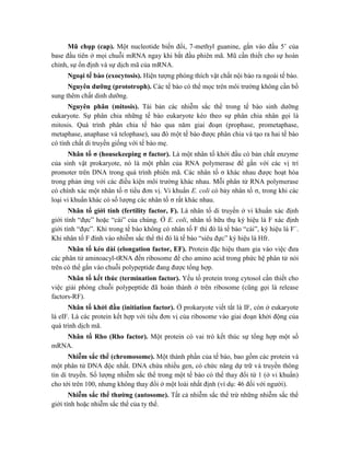 Mũ chụp (cap). Một nucleotide biến đổi, 7-methyl guanine, gắn vào đầu 5’ của
base đầu tiên ở mọi chuỗi mRNA ngay khi bắt đầu phiên mã. Mũ cần thiết cho sự hoàn
chỉnh, sự ổn định và sự dịch mã của mRNA.
Ngoại tế bào (exocytosis). Hiện tượng phóng thích vật chất nội bào ra ngoài tế bào.
Nguyên dưỡng (prototroph). Các tế bào có thể mọc trên môi trường không cần bổ
sung thêm chất dinh dưỡng.
Nguyên phân (mitosis). Tái bản các nhiễm sắc thể trong tế bào sinh dưỡng
eukaryote. Sự phân chia những tế bào eukaryote kéo theo sự phân chia nhân gọi là
mitosis. Quá trình phân chia tế bào qua năm giai đoạn (prophase, prometaphase,
metaphase, anaphase và telophase), sau đó một tế bào được phân chia và tạo ra hai tế bào
có tính chất di truyền giống với tế bào mẹ.
Nhân tố σ (housekeeping σ factor). Là một nhân tố khởi đầu có bản chất enzyme
của sinh vật prokaryote, nó là một phần của RNA polymerase để gắn với các vị trí
promoter trên DNA trong quá trình phiên mã. Các nhân tố σ khác nhau được hoạt hóa
trong phản ứng với các điều kiện môi trường khác nhau. Mỗi phân tử RNA polymerase
có chính xác một nhân tố σ tiểu đơn vị. Vi khuẩn E. coli có bảy nhân tố σ, trong khi các
loại vi khuẩn khác có số lượng các nhân tố σ rất khác nhau.
Nhân tố giới tính (fertility factor, F). Là nhân tố di truyền ở vi khuẩn xác định
giới tính “đực” hoặc “cái” của chúng. Ở E. coli, nhân tố hữu thụ ký hiệu là F xác định
giới tính “đực”. Khi trong tế bào không có nhân tố F thì đó là tế bào “cái”, ký hiệu là F
.
Khi nhân tố F đính vào nhiễm sắc thể thì đó là tế bào “siêu đực” ký hiệu là Hfr.
Nhân tố kéo dài (elongation factor, EF). Protein đặc hiệu tham gia vào việc đưa
các phân tử aminoacyl-tRNA đến ribosome để cho amino acid trong phức hệ phân tử nói
trên có thể gắn vào chuỗi polypeptide đang được tổng hợp.
Nhân tố kết thúc (termination factor). Yếu tố protein trong cytosol cần thiết cho
việc giải phóng chuỗi polypeptide đã hoàn thành ở trên ribosome (cũng gọi là release
factors-RF).
Nhân tố khởi đầu (initiation factor). Ở prokaryote viết tắt là IF, còn ở eukaryote
là eIF. Là các protein kết hợp với tiểu đơn vị của ribosome vào giai đoạn khởi động của
quá trình dịch mã.
Nhân tố Rho (Rho factor). Một protein có vai trò kết thúc sự tổng hợp một số
mRNA.
Nhiễm sắc thể (chromosome). Một thành phần của tế bào, bao gồm các protein và
một phân tử DNA độc nhất. DNA chứa nhiều gen, có chức năng dự trữ và truyền thông
tin di truyền. Số lượng nhiễm sắc thể trong một tế bào có thể thay đổi từ 1 (ở vi khuẩn)
cho tới trên 100, nhưng không thay đổi ở một loài nhất định (ví dụ: 46 đối với người).
Nhiễm sắc thể thường (autosome). Tất cả nhiễm sắc thể trừ những nhiễm sắc thể
giới tính hoặc nhiễm sắc thể của ty thể.
 