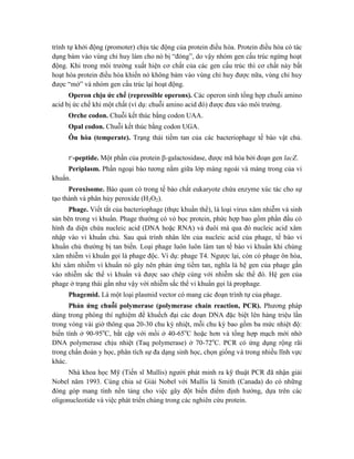 trình tự khởi động (promoter) chịu tác động của protein điều hòa. Protein điều hòa có tác
dụng bám vào vùng chỉ huy làm cho nó bị “đóng”, do vậy nhóm gen cấu trúc ngừng hoạt
động. Khi trong môi trường xuất hiện cơ chất của các gen cấu trúc thì cơ chất này bất
hoạt hóa protein điều hòa khiến nó không bám vào vùng chỉ huy được nữa, vùng chỉ huy
được “mở” và nhóm gen cấu trúc lại hoạt động.
Operon chịu ức chế (repressible operons). Các operon sinh tổng hợp chuỗi amino
acid bị ức chế khi một chất (ví dụ: chuỗi amino acid đó) được đưa vào môi trường.
Orche codon. Chuỗi kết thúc bằng codon UAA.
Opal codon. Chuỗi kết thúc bằng codon UGA.
Ôn hòa (temperate). Trạng thái tiềm tan của các bacteriophage tế bào vật chủ.
-peptide. Một phần của protein -galactosidase, được mã hóa bởi đoạn gen lacZ.
Periplasm. Phần ngoại bào tương nằm giữa lớp màng ngoài và màng trong của vi
khuẩn.
Peroxisome. Bào quan có trong tế bào chất eukaryote chứa enzyme xúc tác cho sự
tạo thành và phân hủy peroxide (H2O2).
Phage. Viết tắt của bacteriophage (thực khuẩn thể), là loại virus xâm nhiễm và sinh
sản bên trong vi khuẩn. Phage thường có vỏ bọc protein, phức hợp bao gồm phần đầu có
hình đa diện chứa nucleic acid (DNA hoặc RNA) và đuôi mà qua đó nucleic acid xâm
nhập vào vi khuẩn chủ. Sau quá trình nhân lên của nucleic acid của phage, tế bào vi
khuẩn chủ thường bị tan biến. Loại phage luôn luôn làm tan tế bào vi khuẩn khi chúng
xâm nhiễm vi khuẩn gọi là phage độc. Ví dụ: phage T4. Ngược lại, còn có phage ôn hòa,
khi xâm nhiễm vi khuẩn nó gây nên phản ứng tiềm tan, nghĩa là hệ gen của phage gắn
vào nhiễm sắc thể vi khuẩn và được sao chép cùng với nhiễm sắc thể đó. Hệ gen của
phage ở trạng thái gắn như vậy với nhiễm sắc thể vi khuẩn gọi là prophage.
Phagemid. Là một loại plasmid vector có mang các đoạn trình tự của phage.
Phản ứng chuỗi polymerase (polymerase chain reaction, PCR). Phương pháp
dùng trong phòng thí nghiệm để khuếch đại các đoạn DNA đặc biệt lên hàng triệu lần
trong vòng vài giờ thông qua 20-30 chu kỳ nhiệt, mỗi chu kỳ bao gồm ba mức nhiệt độ:
biến tính ở 90-95o
C, bắt cặp với mồi ở 40-65o
C hoặc hơn và tổng hợp mạch mới nhờ
DNA polymerase chịu nhiệt (Taq polymerase) ở 70-72o
C. PCR có ứng dụng rộng rãi
trong chẩn đoán y học, phân tích sự đa dạng sinh học, chọn giống và trong nhiều lĩnh vực
khác.
Nhà khoa học Mỹ (Tiến sĩ Mullis) người phát minh ra kỹ thuật PCR đã nhận giải
Nobel năm 1993. Cùng chia sẻ Giải Nobel với Mullis là Smith (Canada) do có những
đóng góp mang tính nền tảng cho việc gây đột biến điểm định hướng, dựa trên các
oligonucleotide và việc phát triển chúng trong các nghiên cứu protein.
 