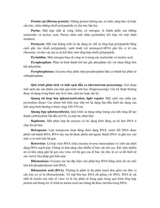 Protein sợi (fibrous protein). Những protein không tan, có chức năng bảo vệ hoặc
cấu trúc, chứa những chuỗi polypeptide có cấu trúc bậc hai.
Purine. Một hợp chất dị vòng, kiềm, có nitrogen, là thành phần của những
nucleotide và nucleic acid. Purine chứa một nhân pyrimidine kết hợp với một nhân
imidazol.
Purmycin. Một loại kháng sinh có tác dụng ức chế sự tổng hợp polypeptide bằng
cách gắn vào chuỗi polypeptide, cạnh tranh với aminoacyl-tRNA gắn lên vị trí của
ribosome, và như vậy tạo ra sự kết thúc sớm tổng hợp chuỗi polypeptide.
Pyrimidine. Một nitrogen base dị vòng có ở trong các nucleotide và nucleic acid.
Pyrophosphate. Phân tử hình thành bởi hai gốc phosphate nối với nhau bằng liên
kết anhydride.
Pyrophosphatase. Enzyme thủy phân một pyrophosphate hữu cơ thành hai phân tử
orthophosphate.
Quá trình phân tách và tinh sạch đầu ra (downstream processing). Giai đoạn
tinh sạch các sản phẩm của một quá trình sinh học (bioprocessing). Các kỹ thuật thường
được sử dụng trong bước này là ly tâm, siêu lọc hoặc sắc ký.
Quang tái hoạt hóa (photoreactivation, light repair). Một cách sửa chữa các
pyrimidine dimer. Các dimer hồi biến trực tiếp trở lại dạng ban đầu dưới tác dụng của
ánh sáng bình thường ở bước sóng 320-370 nm.
Quang hợp (photosynthesis). Quá trình sử dụng năng lượng của ánh sáng để tạo
thành carbohydrate bắt đầu từ CO2 và một tác nhân khử.
Replisome. Một phức hợp đa enzyme có tác dụng khởi động sự tái bản DNA ở
chạc ba tái bản.
Retroposon. Loại transposon hoạt động dưới dạng RNA; trước hết DNA được
phiên mã thành RNA, RNA này sau đó được phiên mã ngược thành DNA và gắn xen vào
một vị trí mới trên hệ gen.
Retrovirus. Là loại virus RNA chứa enzyme reverse transcriptase và sinh sản dưới
dạng DNA mạch kép. Chúng có khả năng xâm nhiễm tế bào vật chủ cao. Khi xâm nhiễm
nó có khả năng gắn hệ gen của virus với hệ gen của tế bào vật chủ, là cơ sở để thiết kế
các vector liệu pháp gen hiệu quả.
Ribonuclease. Enzyme xúc tác đặc hiệu việc phân hủy RNA bằng cách cắt các mối
liên kết phosphodiester trên RNA.
Ribonucleic acid (RNA). Thường là phân tử đa phân mạch đơn gồm các đơn vị
cấu trúc cơ sở là ribonucleotide. Về mặt hóa học RNA rất giống với DNA. RNA là vật
chất di truyền của một số virus và là các phân tử trung gian trong quá trình tổng hợp
protein mà thông tin về trình tự amino acid của chúng đã được mã hóa trong DNA.
 