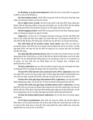 Sơ đồ phóng xạ tự ghi (autoradiogram). Hình ảnh sinh ra trên phim X-quang do
sự phát xạ của các hạt phóng xạ.
Sợi chủ (leading strand). Chuỗi DNA trong quá trình tái bản được tổng hợp cùng
chiều với hướng di chuyển của chạc ba tái bản.
Sợi có nghĩa (sense strand). Sợi đơn trong chuỗi xoắn kép DNA được dùng làm
khuôn mẫu để tổng hợp mRNA trong quá trình phiên mã. Sợi đơn DNA thứ hai không
được dùng làm khuôn mẫu để phiên mã gọi là sợi đối nghĩa (antisense strand).
Sợi thứ (lagging strand). Chuỗi DNA trong quá trình tái bản được tổng hợp ngược
chiều với hướng di chuyển của chạc ba tái bản.
Suppressor. Có hai loại: (1) Extragenic-thường là một gen mã hóa một tRNA đột
biến có trên codon đột biến, theo nghĩa của codon đầu tiên. (2) Intragenic-là đột biến có
tính chất bù đắp để phục hồi khung đọc mã đầu tiên sau khi đã có sự chuyển dịch khung.
Sửa chữa bằng cắt bỏ (excision repair, dark repair). Quá trình sửa chữa các
pyrimidine dimer trên DNA (do tia tử ngoại sinh ra) bằng cách cắt bỏ các dimer và tổng
hợp đoạn DNA mới thay thế nào đó dưới tác dụng của các enzyme đặc hiệu mà không
cần đến ánh sáng.
Tác nhân đột biến (mutation factor). Bất kỳ tác nhân vật lý hoặc hóa học nào làm
tăng đáng kể tần số đột biến so với tần số đột biến tự nhiên thì đều được xem là tác nhân
đột biến. Các tác nhân đột biến thông dụng là các tia phóng xạ như tia X, tia gamma, tia
tử ngoại; các hóa chất như các đồng đẳng của các nitrogen base, nitrogen acid,
hydroxylamine, acridin...
Tái bản (replication). Sự sao chép vật chất di truyền trong chu trình phân bào hoặc
sự tổng hợp DNA của phage khi phage sinh sản trong tế bào vi khuẩn.
Tái bản DNA kiểu bán bảo toàn (semiconservative DNA replication). Quá trình
sao chép DNA mà hai sợi cha mẹ dãn xoắn và được dùng làm khuôn để tổng hợp hai sợi
mới. Khi sao chép xong thì mỗi chuỗi xoắn kép con gồm một sợi cũ và một sợi mới.
Tái bản DNA kiểu gián đoạn (discontinuos DNA replication). Sự tổng hợp DNA
thành những đoạn ngắn, sau đó nối lại với nhau tạo thành chuỗi polynucleotide dài.
Tái bản DNA kiểu nửa gián đoạn (semidiscontinuos DNA replication). Sự tổng
hợp DNA liên tục trên một sợi khuôn mẫu trong hai sợi của DNA mạch kép; còn trên sợi
khuôn mẫu kia, DNA được tổng hợp thành những đoạn ngắn gọi là đoạn Okazaki, sau đó
tất cả chúng được nối lại với nhau nhờ ligase tạo thành chuỗi polynucleotide dài.
Tái bản hai hướng (bidirectional replication). Sự tái bản theo hai hướng ngược
chiều nhau.
Tái tổ hợp (recombination). Quá trình mà trong đó nhiễm sắc thể hay phân tử
DNA đứt ra rồi các phần đứt được nối lại theo một tổ hợp mới. Quá trình này có thể xảy
ra trong tế bào sống (qua sự trao đổi chéo trong phân bào giảm nhiễm) hay trong ống
nghiệm nhờ các enzyme cắt và nối DNA.
 