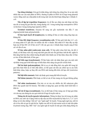 Tạo dòng (cloning). Còn gọi là nhân dòng, tách dòng hay dòng hóa, là sự sản sinh
nhiều bản sao của một phân tử DNA, thường là phân tử DNA tái tổ hợp trong plasmid
vector, bằng cách sao chép phân tử đó trong một vật chủ thích hợp chẳng hạn vi khuẩn E.
coli.
Tần số lặp lại (repetition frequency). Là số lần sao chép của một đoạn mã hóa
nào đó có trong hệ gen đơn bội, tương đương với 1 trong trường hợp nonrepetitive DNA
và lớn hơn 2 trong trường hợp repetitive DNA.
Terminal transferase. Enzyme bổ sung các gốc nucleotide vào đầu 3’ của
oligonucleotide hoặc polynucleotide.
Tế bào bạch huyết (B lymphocyte). Là những tế bào có chức năng tổng hợp các
kháng thể.
Tế bào Hfr (high frequency recombination cell). Tế bào giới tính đực ở E. coli,
có mang nhân tố F gắn liền với nhiễm sắc thể vi khuẩn. Khi nhân tố F thúc đẩy sự tiếp
hợp của tế bào Hfr với tế bào cái (F
) thì các gen của vi khuẩn được truyền sang tế bào
cái với tần số cao.
Tế bào mầm phôi (embryonic stem cell). Tế bào phôi chưa biệt hóa, đa thể ở
chuột, có thể được nuôi cấy trong một thời gian dài mà vẫn giữ được tính đa thể, nghĩa là
khả năng biệt hóa theo nhiều hướng để phát triển thành các tế bào khác nhau như: tế bào
cơ tim, tế bào thần kinh, tế bào gan...
Thể biến nạp (transformant). Tế bào hoặc sinh vật nhận được gen của một sinh
vật khác trong quá trình biến nạp và biểu hiện chức năng của gen đó ra kiểu hình.
Thể đa hình (polymorphism). Mô tả sự có mặt đồng thời của quần thể trong hệ
gen biểu hiện biến dị có tính chất allele, có thể quan sát trên các allele tạo ra các kiểu
hình khác nhau, hoặc sự thay đổi của DNA ảnh hưởng đến kiểu cắt hạn chế (restriction
patterns).
Thể đột biến (mutant). Sinh vật (hoặc gen) mang đột biến di truyền.
Thể khảm (mosaic). Phôi hoặc cơ thể có các tế bào mang các hệ gen không giống
nhau.
Thể nhân (nucleosome). Cấu trúc cơ sở của các nhiễm sắc thể eukaryote gồm
DNA bao quanh một lõi histone. Thể nhân có dạng hạt, quan sát thấy dưới kính hiển vi
điện tử.
Thể tái tổ hợp (recombinant). Các cá thể hoặc tế bào mang các tổ hợp gen khác
với cha mẹ của chúng do các quá trình tái tổ hợp di truyền sinh ra.
Thông tin di truyền (genetic information). Thông tin được lưu trữ trong các phân
tử DNA của sinh vật ở dạng trình tự sắp xếp của bốn nucleotide ký hiệu là A, T, C và G
đóng vai trò như những “chữ cái” của “ngôn ngữ” di truyền. Trong ngôn ngữ này, mỗi từ
chỉ có ba chữ cái gọi là một bộ ba. Nghĩa của mỗi từ là một amino acid có mặt trên phân
tử protein tương ứng. Mỗi “câu” của ngôn ngữ di truyền là một gen chứa đựng thông tin
 
