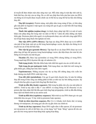 di truyền để đảm nhiệm một chức năng trọn vẹn. Mỗi chức năng là một đặc tính sinh lý,
hình thái hay cấu trúc của sự sống. Do cơ chế sao chép theo kiểu nửa bảo toàn của DNA
mà thông tin di truyền được truyền chính xác từ thế hệ nọ sang thế hệ kia hầu như không
thay đổi.
Thụ thể (receptor). Protein màng, một phần nằm trong màng tế bào, có khả năng
gắn một phối tử (ligand) ở mặt ngoài của màng kết quả là gây ra một biến đổi hoạt động
trong tế bào chất.
Thuốc thử nghiệm (orphan drug). Là thuốc được pháp luật Mỹ (và một số nước
khác) cho phép dùng thử trong một vài năm (ở Mỹ là 7 năm) để chữa những căn bệnh
hiếm gặp. Hormone phát triển người và erythropoetin được sản xuất nhờ công nghệ DNA
tái tổ hợp thuộc dạng thuốc thử nghiệm nói trên.
Thư viện cDNA (cDNA library). Tập hợp các dòng DNA được tạo ra từ mRNA
của một tế bào hoặc một mô cụ thể trong bacteriophage vector, đại diện cho thông tin di
truyền mà các tế bào đó biểu hiện.
Thư viện hệ gen (genomic library). Tập hợp tất cả các đoạn DNA được tạo ra từ
phản ứng cắt hạn chế genome trong bacteriophage vector, đại diện được cho toàn bộ cho
thông tin di truyền của một hệ gen.
Thymine (T). Base loại pyrimidine có trong DNA nhưng không có trong RNA.
Trong mạch kép DNA thymine bắt cặp với adenine (A).
Tính trạng (trait). Một đặc điểm hoặc tính chất bên ngoài của các cá thể sinh vật.
Tính trạng đa gen (polygenic trait). Tính trạng được xác định bởi mối tương tác
giữa nhiều gen, chẳng hạn màu mắt ở người.
Topoisomerases. Những enzyme xúc tác sự thay đổi những dạng siêu xoắn âm
hoặc dương của chuỗi DNA xoắn kép vòng.
Trao đổi chất (metabolism). Còn gọi là quá trình chuyên hóa, là toàn bộ những
thay đổi trong tế bào sống của những phân tử hữu cơ nhờ xúc tác bởi những enzyme. Sự
chuyển hóa bao gồm cả quá trình tổng hợp lẫn thoái hóa.
Trình tự dẫn đầu (leader sequence). Một trong ba phần chủ yếu của một phân tử
mRNA. Trình tự này nằm ở đầu 5’ của mRNA và mang thông tin để ribosome và các
protein đặc hiệu nhận biết bắt đầu quá trình tổng hợp polypeptide, trình tự dẫn đầu không
được dịch mã thành trình tự các amino acid.
Trình tự điều hòa (regulatory sequence). Một trình tự của DNA tham gia vào quá
trình điều hòa của gen. Ví dụ: trình tự promoter hoặc operator.
Trình tự chèn (insertion sequence, IS). Có ở vi khuẩn, kích thước nhỏ và tương
đương với transposon, chỉ mang gen cần cho sự gắn chèn của chính nó.
Trình tự chỉ huy (operator). Đoạn DNA ngắn nằm ở đầu operon, kề sát promoter
nơi mà protein ức chế có thể bám vào, có tác dụng “mở” hoặc “đóng” operon để cho các
gen cấu trúc trong operon hoạt động hoặc ngừng hoạt động.
 
