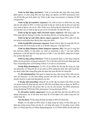 Trình tự khởi động (promoter). Trình tự nucleotide đặc hiệu nằm trong thành
phần operon, có chức năng điều hòa hoạt động của operon, nơi RNA polymerase bám
vào để bắt đầu quá trình phiên mã. Trình tự đặc trưng của promoter có khoảng 20-200
nitrogen base.
Trình tự lặp lại (repetitive sequence). Các trình tự base có nhiều bản sao cùng
một lúc trên phân tử DNA. Có bốn loại trình tự lặp lại: trình tự lặp lại đơn (có một bản
sao), trình tự lặp lại vừa (có từ 1 đến 10 bản sao), trình tự lặp lại trung bình (có từ 10 đến
vài trăm bản sao) và trình tự lặp lại cao (có từ vài trăm đến vài triệu bản sao).
Trình tự lặp lại ngược chiều (inverted repeat sequence). Một đoạn ngắn của
DNA được lặp lại, thường ở các đầu của một đoạn dài hơn, có hướng ngược chiều.
Trình tự lặp lại xuôi chiều (direct repeat sequence). Đoạn DNA gồm một dãy
các trình tự nucleotide được lặp lại theo cùng một chiều.
Trình tự phổ biến (consensus sequence). Đoạn trình tự thấy có trong hầu hết các
mẫu của một yếu tố di truyền cụ thể và có độ bền vững cao, ví dụ hộp CAAT.
Trình tự Shine-Dalgarno (Shine Dalgarno sequence, SD). Còn gọi là vùng liên
kết ribosome (RBS), là một phần của trình tự nucleotide ở đầu 5’ của một mRNA
prokaryote có thể kết hợp bổ sung cặp base với đầu 3’ của 16S rRNA, dùng làm tín hiệu
cho sự khởi đầu dịch mã.
Trình tự tăng cường (enhancer). Trình tự nucleotide dạng cis làm tăng cường độ
phiên mã của promoter trong gen eukaryote. Nó có thể nằm cách promoter hàng ngàn cặp
base và hoạt động theo cả hai hướng ở bất kỳ vị trí nào so với promoter.
Tương đồng (homologous). (1) Nói về các nhiễm sắc thể cặp đôi trong các sinh
vật lưỡng bội. (2) Dùng để mô tả các trình tự DNA giống hệt nhau một cách tuyệt đối;
tuy nhiên, phần trăm tương đồng giữa các đoạn liên quan đôi khi chỉ tương đối.
Ty thể (mitochondria). Bào quan có màng bao bọc, nằm trong tế bào chất của các
sinh vật eukaryote. Ty thể chứa những enzyme cần thiết cho chu trình citric acid, vận
chuyển electron và quá trình phosphoryl oxy hóa.
Ủ để gắn mồi (annealing). Dùng để chỉ sự bắt cặp của khuôn mẫu DNA sợi đơn
với primer (mồi) để tổng hợp nên một sợi DNA bổ sung bằng cách sử dụng các dNTP có
trong môi trường để kéo dài primer nhờ sự xúc tác của enzyme Taq DNA polymerase
(trong khuếch đại PCR) hoặc DNA polymerase I (trong tổng hợp cDNA).
Ức chế amber (amber suppresser). Là các gen đột biến (mã hóa cho tRNA) mà
những anticodons của nó đã được kích hoạt để có thể nhận UAG codon cũng như các
codon trước đó.
Vật chủ (host). Tế bào dùng để nhân các phân tử DNA lên nhiều lần.
Vector. Là các phân tử DNA được sử dụng trong tạo dòng và biểu hiện gen, và
nhân bản chúng trong tế bào vật chủ (E. coli hoặc nấm men). Có ba nhóm vector chính
gồm: (1) Nhóm plasmid, (2) Nhóm phage/phagemid, và (3) Nhóm nhiễm sắc thể nhân tạo
 
