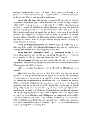 (artificial chromosome: BAC, YAC…). Ý tưởng về vector chuyển gen bắt nguồn từ các
plasmid của vi khuẩn. Vector chuyển gen là các phân tử DNA có khả năng tự tái sinh, tồn
tại độc lập trong tế bào và mang được các gen cần chuyển.
Vector biểu hiện (expression vector). Là vector có thể mang các gen ngoại lai
mong muốn cho phép thực hiện sự phiên mã của các bản sao được tạo dòng và sự dịch
mã các mRNA của chúng trong tế bào vật chủ, ví dụ: E. coli. Để biểu hiện các gen ngoại
lai trong E. coli phải bắt đầu bằng việc gắn nó vào trong vector biểu hiện (thường là
plasmid). Vector này phải có đủ các cấu trúc cần thiết sau: (1) Các trình tự mã hóa gen
chỉ thị chọn lọc (selectable marker) để đảm bảo duy trì vector trong tế bào. (2) Một
promoter kiểm soát phiên mã cho phép sản xuất một lượng lớn mRNA từ các gen được
tạo dòng. (3) Các trình tự kiểm soát dịch mã như vùng liên kết ribosome được bố trí thích
hợp và codon khởi đầu ATG. (4) Một polylinker để đưa gen ngoại lai vào trong một
hướng chính xác với promoter.
Vector tạo dòng (cloning vector). Phân tử DNA mạch kép có khả năng tự sao
chép trong tế bào vật chủ. Có thể gắn vào phân tử này một đoạn hoặc một vài đoạn DNA
khác nguồn tạo nên phân tử DNA tái tổ hợp dùng để nhân dòng.
Vector thay thế (replacement vector hay substitution vector). Là một
bacteriophage vector mà ở đó các điểm tạo dòng sắp xếp thành các cặp, do vậy phần của
hệ gen nằm giữa các điểm này có thể được thay thế bằng đoạn DNA chèn.
Vết tan (plaque). Vòng tròn trong suốt xuất hiện trên thảm đục của các vi khuẩn
mọc trên môi trường thạch đặc, do sự tan vỡ lặp lại nhiều chu kỳ của các tế bào vi khuẩn
bị bacteriophage xâm nhiễm và sinh tan.
Vị trí cos (cos site). Vùng được tạo ra khi các đầu dính của DNA phage λ nối lại
với nhau.
Virus. Phức hợp chứa nucleic acid (DNA hoặc RNA) nằm trong một vỏ bọc
protein, có khả năng gây nhiễm và tái bản bên trong tế bào vật chủ đặc hiệu, tạo ra nhiều
virus, lan truyền từ tế bào này sang tế bào khác. Virus là dạng sống không có cấu trúc tế
bào, có khả năng xâm nhập vào các tế bào sống xác định và chỉ sinh sản ở bên trong các
tế bào đó. Giống như tất cả cá sinh vật khác, virus có bộ máy di truyền của riêng mình,
mã hóa việc tổng hợp các hạt virus từ các chất có trong tế bào vật chủ. Như vậy, virus là
những vật ký sinh nội bào. Virus phân bố ở khắp nơi trong tự nhiên, xâm nhập vào tất cả
các nhóm sinh vật. Người ta đã biết khoảng 500 loại virus xâm nhập động vật máu nóng,
300 loại xâm nhập thực vật bậc cao. Một số khối u ung thư ở động vật và ở người có thể
do virus. Virus tồn tại ở hai dạng: dạng nghỉ hay ngoại bào và dạng sinh sản hay nội bào.
Kích thước của các hạt virus từ 15-350 nm, chiều dài của một số loại virus có thể đạt tới
2000 nm. Phần lớn virus chỉ nhìn thấy được qua kính hiển vi điện tử. Chất mang thông
tin di truyền của virus là nucleic acid: DNA hoặc RNA. Vì vậy, có thể phân virus thành
hai loại: loại mang DNA và loại mang RNA.
 