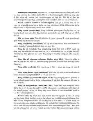 Vi tiêm (microinjection). Kỹ thuật đưa DNA vào nhân hoặc vào tế bào chất của tế
bào bằng kim mao dẫn và bơm áp lực. Đây là kỹ thuật sử dụng phổ biến trong công nghệ
tế bào động vật (animal cell biotechnology), nó đòi hỏi thiết bị vi thao tác
(micromanipulator) cực nhạy, kỹ năng thực hành và sự kiên nhẫn cao của kỹ thuật viên.
VNTR (variable number of tandem repeats). Còn gọi là tiểu vệ tinh, chỉ các
vùng của hệ gen đặc trưng bởi sự lặp lại của cùng một trình tự DNA. Số lượng lần lặp lại
thay đổi theo cá thể nên mang tính đa allele rất cao.
Vòng kẹp tóc (hairpin loop). Vùng chuỗi đơn bổ sung tạo nếp gấp chứa các cặp
base tạo thành xoắn kép, được dùng làm mồi (primer) cho quá trình tổng hợp sợi cDNA
thứ hai.
Vốn gen (gene pool). Toàn bộ thông tin di truyền có trong tất cả các gen của một
quần thể tại một thời điểm xác định.
Vùng cùng hướng (downtream). Đề cập đến vị trí của một đoạn trình tự nào đó
nằm ở phía đầu 3’ của gen hoặc một đoạn gen quan tâm.
Vùng đa nối (polylinker hay polycloning sites). Một trình tự DNA mạch kép
được tổng hợp nhân tạo có mang một loạt các vị trí nhận biết của các enzyme hạn chế.
Trình tự này được gắn vào các vector dùng trong kỹ thuật tạo dòng gen (như vùng tạo
dòng).
Vùng liên kết ribosome (ribosome binding sites, RBS). Vùng trên phân tử
mRNA giúp cho nó bám vào ribosome trong quá trình dịch mã (xem trình tự Shine-
Dalgarno).
Vùng nhân (nucleoid). Một vùng trong tế bào vi khuẩn tập trung vật chất di
truyền.
Vùng ngược hướng (upstream region). Vị trí của một trình tự nucleotide nào đó
nằm ở phía đầu 5’ của phân tử DNA so với gen quan tâm.
Vùng siêu biến (hypervariable region, HVR). Vùng trong hệ gen bao gồm một số
lượng biến động các trình tự lặp lại và được dùng để xác định đặc trưng cá thể (xem in
dấu di truyền).
Vùng tạo dòng (multiple cloning sites, MCS). Đoạn DNA ngắn trong một vector
thế hệ thứ ba (ví dụ: các nhóm pUC, pGEM, pBluescript…) có chứa các vị trí nhận biết
cho một số enzyme cắt hạn chế thông dụng, được thiết kế để chèn đoạn DNA ngoại lai
vào đây (xem vùng đa nối).
Western blot. Kỹ thuật phân tích protein dựa trên nguyên lý liên kết kháng
nguyên-kháng thể để phát hiện protein đặc hiệu có bản chất kháng nguyên (thường được
thẩm tích lên màng nitrocellulose sau khi chạy điện di SDS-PAGE, và cố định ở đó). Sau
khi protein trên màng lai gắn với kháng thể thứ nhất đặc hiệu và tiếp đến là kháng thể thứ
hai có đánh dấu enzyme (alkaline phosphatase hoặc horse-radish peroxidase…) thì phức
hợp này sẽ được liên kết với cơ chất để tạo màu. Sự hiện diện của protein ngoại lai (sản
 