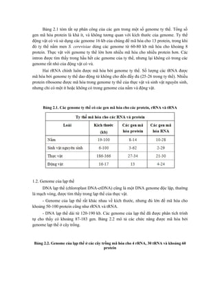 Bảng 2.1 tóm tắt sự phân công của các gen trong một số genome ty thể. Tổng số
gen mã hóa protein là khá ít, và không tương quan với kích thước của genome. Ty thể
động vật có vú sử dụng các genome 16 kb của chúng để mã hóa cho 13 protein, trong khi
đó ty thể nấm men S. cerevisiae dùng các genome từ 60-80 kb mã hóa cho khoảng 8
protein. Thực vật với genome ty thể lớn hơn nhiều mã hóa cho nhiều protein hơn. Các
intron được tìm thấy trong hầu hết các genome của ty thể, nhưng lại không có trong các
genome rất nhỏ của động vật có vú.
Hai rRNA chính luôn được mã hóa bởi genome ty thể. Số lượng các tRNA được
mã hóa bởi genome ty thể dao động từ không cho đến đầy đủ (25-26 trong ty thể). Nhiều
protein ribosome được mã hóa trong genome ty thể của thực vật và sinh vật nguyên sinh,
nhưng chỉ có một ít hoặc không có trong genome của nấm và động vật.
Bảng 2.1. Các genome ty thể có các gen mã hóa cho các protein, rRNA và tRNA
1.2. Genome của lạp thể
DNA lạp thể (chloroplast DNA-ctDNA) cũng là một DNA genome độc lập, thường
là mạch vòng, được tìm thấy trong lạp thể của thực vật.
- Genome của lạp thể rất khác nhau về kích thước, nhưng đủ lớn để mã hóa cho
khoảng 50-100 protein cũng như rRNA và tRNA.
- DNA lạp thể dài từ 120-190 kb. Các genome của lạp thể đã được phân tích trình
tự cho thấy có khoảng 87-183 gen. Bảng 2.2 mô tả các chức năng được mã hóa bởi
genome lạp thể ở cây trồng.
Bảng 2.2. Genome của lạp thể ở các cây trồng mã hóa cho 4 rRNA, 30 tRNA và khoảng 60
protein
 