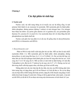 Chương 1
Các đại phân tử sinh học
I. Nucleic acid
Nucleic acid, vật chất mang thông tin di truyền của các hệ thống sống, là một
polymer hình thành từ các monomer là nucleotide. Mỗi nucleotide gồm ba thành phần:
nhóm phosphate, đường pentose (đường 5 carbon) và một nitrogen base. Các nitrogen
base thuộc hai nhóm: các purine gồm adenine (A) và guanine (G), các pyrimidine gồm
thymine (T), cytosine (C) và uracil (U). Các nucleotide được nối với nhau bằng liên kết
phosphodiester tạo thành chuỗi dài.
Nucleic acid gồm hai loại phân tử có cấu tạo rất giống nhau là deoxyribonucleic
acid (DNA) và ribonucleic acid (RNA).
1. Deoxyribonucleic acid
Phân tử DNA là một chuỗi xoắn kép gồm hai sợi đơn. Mỗi sợi đơn là một chuỗi
nucleotide (Hình 1.1). Mỗi nucleotide gồm ba thành phần: nhóm phosphate, đường
deoxyribose và một trong bốn base (A, C, G và T) (Hình 1.2). Hai sợi đơn kết hợp với
nhau nhờ các liên kết hydrogen hình thành giữa các base bổ sung nằm trên hai sợi: A bổ
sung cho T và C bổ sung cho G. Mỗi sợi đơn có một trình tự định hướng với một đầu
5’phosphate tự do, đầu kia là 3’ hydroxyl tự do (quy ước là 5’3’). Hướng của hai sợi
đơn trong chuỗi xoắn kép ngược nhau, nên được gọi là hai sợi đối song.
Những phân tích cấu trúc hiện đại đã cho thấy cấu trúc của DNA không phải luôn
luôn tương ứng với dạng được gọi là B mà Watson và Crick đã đưa ra. Do sự tác động
của các hợp chất có khối lượng nhỏ hoặc protein, dạng B có thể chuyển sang dạng A (nén
nhiều hơn) hoặc là dạng Z (xoắn trái). Chúng có thể tự gấp lại hoặc xoắn mạnh, ví dụ một
sợi đôi DNA có độ dài là 20 cm được nén trong một chromosome có kích thước là 5 m.
 