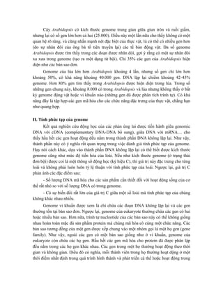 Cây Arabidopsis có kích thước genome trung gian giữa giun tròn và ruồi giấm,
nhưng lại có số gen lớn hơn cả hai (25.000). Điều này một lần nữa cho thấy không có một
quan hệ rõ ràng, và cũng nhấn mạnh nét đặc biệt của thực vật, là có thể có nhiều gen hơn
(do sự nhân đôi của ông bà tổ tiên truyền lại) các tế bào động vật. Đa số genome
Arabidopsis được tìm thấy trong các đoạn được nhân đôi, gợi ý rằng có một sự nhân đôi
xa xưa trong genome (tạo ra một dạng tứ bội). Chỉ 35% các gen của Arabidopsis hiện
diện như các bản sao đơn.
Genome của lúa lớn hơn Arabidopsis khoảng 4 lần, nhưng số gen chỉ lớn hơn
khoảng 50%, có khả năng khoảng 40.000 gen. DNA lặp lại chiếm khoảng 42-45%
genome. Hơn 80% gen tìm thấy trong Arabidopsis được hiện diện trong lúa. Trong số
những gen chung này, khoảng 8.000 có trong Arabidopsis và lúa nhưng không thấy ở bất
kỳ genome động vật hoặc vi khuẩn nào (những gen đã được phân tích trình tự). Có khả
năng đây là tập hợp các gen mã hóa cho các chức năng đặc trưng của thực vật, chẳng hạn
như quang hợp.
II. Tính phức tạp của genome
Kết quả nghiên cứu động học của các phản ứng lai được tiến hành giữa genomic
DNA với cDNA (complementary DNA-DNA bổ sung), giữa DNA với mRNA… cho
thấy hầu hết các gen hoạt động đều nằm trong thành phần DNA không lặp lại. Như vậy,
thành phần này có ý nghĩa rất quan trọng trong việc đánh giá tính phức tạp của genome.
Hay nói cách khác, dựa vào thành phần DNA không lặp lại có thể biết được kích thước
genome cũng như mức độ tiến hóa của loài. Nếu như kích thước genome (ở trạng thái
đơn bội) được coi là một thông số động học (ký hiệu C), thì giá trị này đặc trưng cho từng
loài và không phải luôn luôn tỷ lệ thuận với tính phức tạp của loài. Ngược lại, giá trị C
phản ánh các đặc điểm sau:
- Số lượng DNA mã hóa cho các sản phẩm cần thiết đối với hoạt động sống của cơ
thể rất nhỏ so với số lượng DNA có trong genome.
- Có sự biến đổi rất lớn của giá trị C giữa một số loài mà tính phức tạp của chúng
không khác nhau nhiều.
Genome vi khuẩn được xem là chỉ chứa các đoạn DNA không lặp lại và các gen
thường tồn tại bản sao đơn. Ngược lại, genome của eukaryote thường chứa các gen có hai
hoặc nhiều bản sao. Hơn nữa, trình tự nucleotide của các bản sao này có thể không giống
nhau hoàn toàn mặc dù sản phẩm protein mà chúng mã hóa có cùng một chức năng. Các
bản sao tương đồng của một gen được xếp chung vào một nhóm gọi là một họ gen (gene
family). Như vậy, ngoài các gen có một bản sao giống như ở vi khuẩn, genome của
eukaryote còn chứa các họ gen. Hầu hết các gen mã hóa cho protein đã được phân lập
đều nằm trong các họ gen khác nhau. Các gen trong một họ thường hoạt động theo thời
gian và không gian. Điều đó có nghĩa, mỗi thành viên trong họ thường hoạt động ở một
thời điểm nhất định trong quá trình hình thành và phát triển cá thể hoặc hoạt động trong
 