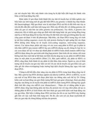 các mô chuyên biệt. Khi một thành viên trong họ bị đột biến (bất hoạt) thì thành viên
khác có thể hoạt động thay thế.
Khái niệm về gen được hình thành khi các nhà di truyền học cổ điển nghiên cứu
biểu hiện các tính trạng mới do gây đột biến DNA của genome vi khuẩn hay thực khuẩn
thể (bacteriophage). Một gen được xem là một đoạn DNA mà bất cứ đột biến nào xảy ra
trên đó đều dẫn đến xuất hiện tính trạng mới. Điều này dễ hiểu đối với những genome chỉ
chứa các gen có một bản sao (như genome của prokaryote). Tuy nhiên, ở genome của
eukaryote, khi có nhiều gen cùng qui định một tính trạng hoặc các gen tương đồng trong
một họ có thể hoạt động hỗ trợ thay thế nhau thì đột biến trên một gen không phải lúc nào
cũng quan sát được ở mức độ phenotype. Mặt khác, các đoạn DNA tương ứng với trình
tự mã hóa (coding sequence, exon) cho một protein thường bị ngắt quãng bởi các đoạn
DNA không chứa thông tin di truyền (non-coding sequence, intervening sequence,
intron). Các intron được phiên mã cùng với các exon sang phân tử RNA gọi là phân tử
tiền thân mRNA (pre-mature mRNA hay pre-mRNA) nhưng sau đó chúng bị loại bỏ và
các exon được nối lại với nhau tạo thành phân tử mRNA hoàn chỉnh (mature mRNA hay
mRNA) được dùng cho quá trình sinh tổng hợp protein. Quá trình cắt các intron, nối exon
không tuân theo một trật tự bắt buộc mà biến hóa đa dạng tạo ra các phân tử mRNA khác
nhau từ một phân tử pre-mRNA (Hình 2.5). Bên cạnh mRNA, các phân tử rRNA và
tRNA cũng được hình thành từ các phân tử tiền thân chứa intron. Ngoài ra, còn có hiện
tượng mã di truyền của gen này nằm xen kẽ với các mã di truyền của gen khác (các gen
nằm gối lên nhau-overlapping) hoặc trường hợp dịch chuyển khung đọc ngay trên một
đoạn DNA.
Chúng ta đã biết đến chức năng của các phân tử RNA trong hoạt động sống của tế
bào. Bên cạnh ba loại RNA đã được nghiên cứu khá kỹ (mRNA, rRNA và tRNA), vai trò
của một số loại RNA khác mới được phát hiện vào những năm cuối thế kỷ 20. Chúng
kiểm soát sự hoạt động của gen (hiện tượng bất hoạt gen-gene silencing), tham gia phản
ứng đọc sửa thông tin di truyền trên phân tử mRNA (hiện tượng RNA editing) hay quyết
định tính bền vững của mRNA (các ribonuclease)… Thậm chí có những phân tử pre-
mRNA được tổng hợp không phải mã hóa cho protein mà với mục đích phân cắt tạo ra
những phân tử RNA có kích thước nhỏ hơn tham gia quá trình kiểm soát hoạt động của
các gen khác. Đột biến ở những đoạn DNA mã hóa cho tất cả các loại RNA này thường
gắn liền với việc xuất hiện tính trạng mới. Do đó, cần xem xét các đoạn nucleotide đó
như các gen mặc dù chúng không mã hóa cho protein.
 