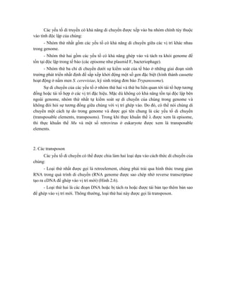 Các yếu tố di truyền có khả năng di chuyển được xếp vào ba nhóm chính tùy thuộc
vào tính độc lập của chúng:
- Nhóm thứ nhất gồm các yếu tố có khả năng di chuyển giữa các vị trí khác nhau
trong genome.
- Nhóm thứ hai gồm các yếu tố có khả năng ghép vào và tách ra khỏi genome để
tồn tại độc lập trong tế bào (các episome như plasmid F, bacteriophage).
- Nhóm thứ ba chỉ di chuyển dưới sự kiểm soát của tế bào ở những giai đoạn sinh
trưởng phát triển nhất định để sắp xếp khởi động một số gen đặc biệt (hình thành cassette
hoạt động ở nấm men S. cerevisiae, ký sinh trùng đơn bào Trypanosome).
Sự di chuyển của các yếu tố ở nhóm thứ hai và thứ ba liên quan tới tái tổ hợp tương
đồng hoặc tái tổ hợp ở các vị trí đặc hiệu. Mặc dù không có khả năng tồn tại độc lập bên
ngoài genome, nhóm thứ nhất tự kiểm soát sự di chuyển của chúng trong genome và
không đòi hỏi sự tương đồng giữa chúng với vị trí ghép vào. Do đó, có thể nói chúng di
chuyển một cách tự do trong genome và được gọi tên chung là các yếu tố di chuyển
(transposable elements, transposons). Trong khi thực khuẩn thể  được xem là episome,
thì thực khuẩn thể Mu và một số retrovirus ở eukaryote được xem là transposable
elements.
2. Các transposon
Các yếu tố di chuyển có thể được chia làm hai loại dựa vào cách thức di chuyển của
chúng:
- Loại thứ nhất được gọi là retroelement, chúng phải trải qua hình thức trung gian
RNA trong quá trình di chuyển (RNA genome được sao chép nhờ reverse transcriptase
tạo ra cDNA để ghép vào vị trí mới) (Hình 2.6).
- Loại thứ hai là các đoạn DNA hoặc bị tách ra hoặc được tái bản tạo thêm bản sao
để ghép vào vị trí mới. Thông thường, loại thứ hai này được gọi là transposon.
 