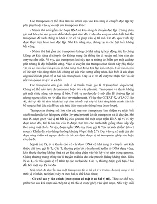 Các transposon có thể chia làm hai nhóm dựa vào khả năng di chuyển độc lập hay
phải phụ thuộc vào sự có mặt của transposon khác:
- Nhóm thứ nhất gồm các đoạn DNA có khả năng di chuyển độc lập. Chúng chứa
gen mã hóa cho các protein điều khiển quá trình đó, ví dụ như enzyme nhận biết hai đầu
transposon để tách chúng ra khỏi vị trí cũ và ghép vào vị trí mới. Do đó, quá trình này
được thực hiện hoàn toàn độc lập. Nhờ khả năng này, chúng tạo ra các đột biến không
bền vững.
- Nhóm thứ hai gồm các transposon không có khả năng tự hoạt động, tức là chúng
không có khả năng di chuyển do không mang đủ thông tin di truyền mã hóa cho các
enzyme cần thiết. Vì vậy, các transposon loại này tạo ra những đột biến gen một cách tự
phát nhưng là đột biến bền vững. Việc di chuyển của transposon ở nhóm này phụ thuộc
vào sự có mặt của transposon có khả năng hoạt động độc lập cùng nhóm. Hai transposon
có thể xếp vào cùng nhóm khi chúng có cấu trúc tương đồng nhau, đặc biệt là các đoạn
oligonucleotide phân bố ở hai đầu transposon. Đây là vị trí để enzyme nhận biết và cắt
nối transposon ở vị trí đi và đến.
Các transposon đơn giản nhất ở vi khuẩn được gọi là IS (insertion sequences).
Chúng có thể nằm trên chromosome hoặc trên các plasmid. Transposon vi khuẩn không
giữ một chức năng nào trong tế bào. Trình tự nucleotide ở một đầu IS thường lặp lại
nhưng ngược chiều so với đầu kia (inverted repeat). Ví dụ như GGTAT-Xn-ATACC. Do
đó, khi sợi đôi IS tách thành hai sợi đơn thì mỗi sợi này có khả năng hình thành liên kết
bổ sung tại hai đầu của IS tạo cấu trúc thân-quai/cán-thòng lọng (stem-loop).
Transposon thường mã hóa cho các enzyme transposase làm nhiệm vụ nhận biết
chuỗi nucleotide lặp lại ngược chiều (inverted repeat) để cắt transposon và di chuyển. Khi
một IS được ghép vào vị trí bất kỳ của genome thì một đoạn ngắn DNA tại vị trí này
được nhân đôi, tức là hai đầu của IS được chặn bởi các nucleotide giống nhau, sắp xếp
theo cùng một chiều. Vì vậy, đoạn ngắn DNA này được gọi là “lặp lại xuôi chiều” (direct
repeat). Chiều dài của chúng thường khoảng 9 bp (Hình 2.7). Dựa vào sự có mặt của các
đoạn cùng chiều và ngược chiều có thể xác định được vị trí transposon ghép vào hoặc
chuyển đi.
Ngoài các IS, ở vi khuẩn còn có các đoạn DNA có khả năng di chuyển với kích
thước dài hơn, gọi là Tn. Các Tn thường phân bố trên plasmid (phân tử DNA dạng vòng,
kích thước thường không lớn) và có khả năng chèn vào bất kỳ vị trí nào trong genome.
Chúng thường mang thông tin di truyền mã hóa cho các protein kháng kháng sinh. Giữa
IS và Tn có mối quan hệ về trình tự các nucleotide. Các Tn thường được giới hạn ở hai
đầu bởi một loại IS nào đó.
Quá trình di chuyển của một transposon từ vị trí cũ (vị trí cho, donor) sang vị trí
mới (vị trí nhận, recipient) xảy ra theo hai cơ chế khác nhau:
- Cơ chế sao y bản chính (transposon có mặt ở cả hai vị trí). Theo cơ chế này,
phiên bản sau khi được sao chép từ vị trí cho sẽ được ghép vào vị trí nhận. Như vậy, mỗi
 