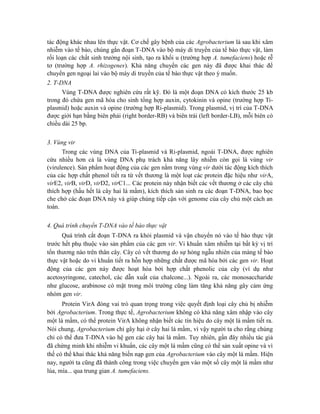 tác động khác nhau lên thực vật. Cơ chế gây bệnh của các Agrobacterium là sau khi xâm
nhiễm vào tế bào, chúng gắn đoạn T-DNA vào bộ máy di truyền của tế bào thực vật, làm
rối loạn các chất sinh trưởng nội sinh, tạo ra khối u (trường hợp A. tumefaciens) hoặc rễ
tơ (trường hợp A. rhizogenes). Khả năng chuyển các gen này đã được khai thác để
chuyển gen ngoại lai vào bộ máy di truyền của tế bào thực vật theo ý muốn.
2. T-DNA
Vùng T-DNA được nghiên cứu rất kỹ. Đó là một đoạn DNA có kích thước 25 kb
trong đó chứa gen mã hóa cho sinh tổng hợp auxin, cytokinin và opine (trường hợp Ti-
plasmid) hoặc auxin và opine (trường hợp Ri-plasmid). Trong plasmid, vị trí của T-DNA
được giới hạn bằng biên phải (right border-RB) và biên trái (left border-LB), mỗi biên có
chiều dài 25 bp.
3. Vùng vir
Trong các vùng DNA của Ti-plasmid và Ri-plasmid, ngoài T-DNA, được nghiên
cứu nhiều hơn cả là vùng DNA phụ trách khả năng lây nhiễm còn gọi là vùng vir
(virulence). Sản phẩm hoạt động của các gen nằm trong vùng vir dưới tác động kích thích
của các hợp chất phenol tiết ra từ vết thương là một loạt các protein đặc hiệu như virA,
virE2, virB, virD, virD2, virC1... Các protein này nhận biết các vết thương ở các cây chủ
thích hợp (hầu hết là cây hai lá mầm), kích thích sản sinh ra các đoạn T-DNA, bao bọc
che chở các đoạn DNA này và giúp chúng tiếp cận với genome của cây chủ một cách an
toàn.
4. Quá trình chuyển T-DNA vào tế bào thực vật
Quá trình cắt đoạn T-DNA ra khỏi plasmid và vận chuyển nó vào tế bào thực vật
trước hết phụ thuộc vào sản phẩm của các gen vir. Vi khuẩn xâm nhiễm tại bất kỳ vị trí
tổn thương nào trên thân cây. Cây có vết thương do sự hỏng ngẫu nhiên của màng tế bào
thực vật hoặc do vi khuẩn tiết ra hỗn hợp những chất được mã hóa bởi các gen vir. Hoạt
động của các gen này được hoạt hóa bởi hợp chất phenolic của cây (ví dụ như
acetosyringone, catechol, các dẫn xuất của chalcone...). Ngoài ra, các monosaccharide
như glucose, arabinose có mặt trong môi trường cũng làm tăng khả năng gây cảm ứng
nhóm gen vir.
Protein VirA đóng vai trò quan trọng trong việc quyết định loại cây chủ bị nhiễm
bởi Agrobacterium. Trong thực tế, Agrobacterium không có khả năng xâm nhập vào cây
một lá mầm, có thể protein VirA không nhận biết các tín hiệu do cây một lá mầm tiết ra.
Nói chung, Agrobacterium chỉ gây hại ở cây hai lá mầm, vì vậy người ta cho rằng chúng
chỉ có thể đưa T-DNA vào hệ gen các cây hai lá mầm. Tuy nhiên, gần đây nhiều tác giả
đã chứng minh khi nhiễm vi khuẩn, các cây một lá mầm cũng có thể sản xuất opine và vì
thế có thể khai thác khả năng biến nạp gen của Agrobacterium vào cây một lá mầm. Hiện
nay, người ta cũng đã thành công trong việc chuyển gen vào một số cây một lá mầm như
lúa, mía... qua trung gian A. tumefaciens.
 