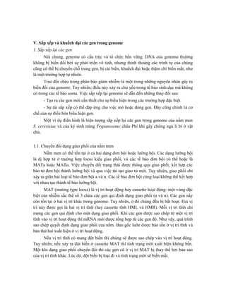 V. Sắp xếp và khuếch đại các gen trong genome
1. Sắp xếp lại các gen
Nói chung, genome có cấu trúc và tổ chức bền vững. DNA của genome thường
không bị biến đổi bởi sự phát triển vô tính, nhưng thỉnh thoảng các trình tự của chúng
cũng có thể bị chuyển chỗ trong gen, bị cải biến, khuếch đại hoặc thậm chí biến mất, như
là một trường hợp tự nhiên.
Trao đổi chéo trong phân bào giảm nhiễm là một trong những nguyên nhân gây ra
biến đổi của genome. Tuy nhiên, điều này xảy ra chủ yếu trong tế bào sinh dục mà không
có trong các tế bào soma. Việc sắp xếp lại genome sẽ dẫn đến những thay đổi sau:
- Tạo ra các gen mới cần thiết cho sự biểu hiện trong các trường hợp đặc biệt.
- Sự tái sắp xếp có thể đáp ứng cho việc mở hoặc đóng gen. Đây cũng chính là cơ
chế của sự điều hòa biểu hiện gen.
Một ví dụ điển hình là hiện tượng sắp xếp lại các gen trong genome của nấm men
S. cerevisiae và của ký sinh trùng Trypanosome châu Phi khi gây chứng ngủ li bì ở vật
chủ.
1.1. Chuyển đổi dạng giao phối của nấm men
Nấm men có thể tồn tại ở cả hai dạng đơn bội hoặc lưỡng bội. Các dạng lưỡng bội
là dị hợp tử ở trường hợp locus kiểu giao phối, và các tế bào đơn bội có thể hoặc là
MATa hoặc MATα. Việc chuyển đổi trạng thái được thông qua giao phối, kết hợp các
bào tử đơn bội thành lưỡng bội và qua việc tái tạo giao tử mới. Tuy nhiên, giao phối chỉ
xảy ra giữa hai loại tế bào đơn bội a và α. Các tế bào đơn bội cùng loại không thể kết hợp
với nhau tạo thành tế bào lưỡng bội.
MAT (mating type locus) là vị trí hoạt động hay cassette hoạt động: một vùng đặc
biệt của nhiễm sắc thể số 3 chứa các gen qui định dạng giao phối (a và α). Các gen này
còn tồn tại ở hai vị trí khác trong genome. Tuy nhiên, ở đó chúng đều bị bất hoạt. Hai vị
trí này được gọi là hai vị trí tĩnh (hay cassette tĩnh HML và HMR). Mỗi vị trí tĩnh chỉ
mang các gen qui định cho một dạng giao phối. Khi các gen được sao chép từ một vị trí
tĩnh vào vị trí hoạt động thì mRNA mới được tổng hợp từ các gen đó. Như vậy, quá trình
sao chép quyết định dạng giao phối của nấm. Bản gốc luôn được bảo tồn ở vị trí tĩnh và
bản thứ hai xuất hiện ở vị trí hoạt động.
Nếu vị trí tĩnh có mang đột biến thì chúng sẽ được sao chép vào vị trí hoạt động.
Tuy nhiên, nếu xảy ra đột biến ở cassette MAT thì tính trạng mới xuất hiện không bền.
Một khi dạng giao phối chuyển đổi thì các gen cũ ở vị trí MAT bị thay thế bởi bản sao
của vị trí tĩnh khác. Lúc đó, đột biến bị loại đi và tính trạng mới sẽ biến mất.
 