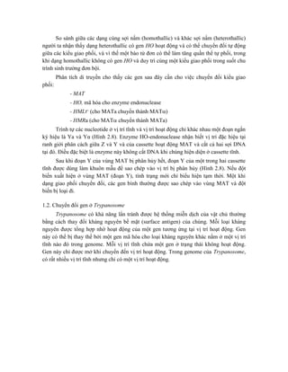 So sánh giữa các dạng cùng sợi nấm (homothallic) và khác sợi nấm (heterothallic)
người ta nhận thấy dạng heterothallic có gen HO hoạt động và có thể chuyển đổi tự động
giữa các kiểu giao phối, và vì thế một bào tử đơn có thể làm tăng quần thể tự phối, trong
khi dạng homothallic không có gen HO và duy trì cùng một kiểu giao phối trong suốt chu
trình sinh trưởng đơn bội.
Phân tích di truyền cho thấy các gen sau đây cần cho việc chuyển đổi kiểu giao
phối:
- MAT
- HO, mã hóa cho enzyme endonuclease
- HML (cho MATa chuyển thành MAT)
- HMRa (cho MAT chuyển thành MATa)
Trình tự các nucleotide ở vị trí tĩnh và vị trí hoạt động chỉ khác nhau một đoạn ngắn
ký hiệu là Ya và Yα (Hình 2.8). Enzyme HO-endonuclease nhận biết vị trí đặc hiệu tại
ranh giới phân cách giữa Z và Y và của cassette hoạt động MAT và cắt cả hai sợi DNA
tại đó. Điều đặc biệt là enzyme này không cắt DNA khi chúng hiện diện ở cassette tĩnh.
Sau khi đoạn Y của vùng MAT bị phân hủy hết, đoạn Y của một trong hai cassette
tĩnh được dùng làm khuôn mẫu để sao chép vào vị trí bị phân hủy (Hình 2.8). Nếu đột
biến xuất hiện ở vùng MAT (đoạn Y), tính trạng mới chỉ biểu hiện tạm thời. Một khi
dạng giao phối chuyển đổi, các gen bình thường được sao chép vào vùng MAT và đột
biến bị loại đi.
1.2. Chuyển đổi gen ở Trypanosome
Trypanosome có khả năng lẩn tránh được hệ thống miễn dịch của vật chủ thường
bằng cách thay đổi kháng nguyên bề mặt (surface antigen) của chúng. Mỗi loại kháng
nguyên được tổng hợp nhờ hoạt động của một gen tương ứng tại vị trí hoạt động. Gen
này có thể bị thay thế bởi một gen mã hóa cho loại kháng nguyên khác nằm ở một vị trí
tĩnh nào đó trong genome. Mỗi vị trí tĩnh chứa một gen ở trạng thái không hoạt động.
Gen này chỉ được mở khi chuyển đến vị trí hoạt động. Trong genome của Trypanosome,
có rất nhiều vị trí tĩnh nhưng chỉ có một vị trí hoạt động.
 