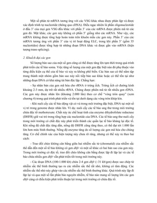 Một số phân tử mRNA tương ứng với các VSG khác nhau được phân lập và được
xác định trình tự nucleotide (thông qua cDNA). Điều ngạc nhiên là phần oligonucleotide
ở đầu 3’ của mọi gen VSG đều khác với phần 3’ của các mRNA được phiên mã từ các
gen đó. Mặt khác, các gen này không có phần 5’ giống như các mRNA. Như vậy, các
mRNA không được tổng hợp hoàn toàn trên khuôn mẫu các gen này. Phần 3’ của các
mRNA tương ứng với phần 3’ của vị trí hoạt động ELC, trong khi phần 5’ (gồm 35
nucleotides) được tổng hợp từ những đoạn DNA khác và được gắn vào mRNA (hiện
tượng trans-splicing).
2. Khuếch đại các gen
Số lượng bản sao của một số gen cũng có thể được tăng lên tạm thời trong quá trình
phát triển các tế bào soma. Việc tăng số lượng của một gen đặc biệt nào đó phụ thuộc vào
từng điều kiện cụ thể của tế bào và xảy ra không phổ biến. Các bản sao có thể nằm tập
trung thành một nhóm gồm bản sao này nối tiếp bản sao khác hoặc có thể tồn tại như
những đoạn DNA có khả năng tái bản độc lập. Chẳng hạn:
- Sự nhân bản của gen mã hóa cho rRNA ở trứng ếch. Trứng ếch có đường kính
khoảng 2-3 mm, dự trữ rất nhiều rRNA. Chúng được phiên mã từ rất nhiều gen rDNA.
Các gen này được nhân lên (khoảng 2.000 lần) theo cơ chế “vòng tròn quay” (xem
chương 4) trong quá trình phát triển và tồn tại dưới dạng các vòng tròn khép kín.
- Khi nuôi cấy các tế bào động vật có vú trong môi trường đặc biệt, DNA tại một số
vị trí trong genome được nhân lên. Ví dụ: nuôi cấy các tế bào ung thư trong môi trường
chứa độc tố methotrexate. Chất này ức chế hoạt tính của enzyme dihydrofolate reductase
(DHFR) giữ vai trò trong tổng hợp các nucleotide của DNA. Các tế bào ung thư nuôi cấy
trong môi trường có chất độc này phát triển thành các quần lạc tế bào kháng lại độc tố.
Khi nồng độ chất độc tăng dần, nồng độ DHFR cũng tăng theo, có thể đạt tới 1.000 lần
lớn hơn mức bình thường. Nồng độ enzyme tăng do số lượng các gen mã hóa cho chúng
tăng. Cơ chế chính xác của hiện tượng này chưa rõ ràng, nhưng có thể xảy ra theo hai
cách:
- Trao đổi chéo không cân bằng giữa hai nhiễm sắc tử (chromatid) của nhiễm sắc
thể dẫn đến một số tế bào không có gen dhfr và một số khác có hai bản sao của gen này.
Trong môi trường có độc tố, trao đổi chéo không cân bằng được lặp đi lặp lại và các tế
bào chứa nhiều gen dhfr vẫn phát triển tốt trong môi trường này.
- Các đoạn DNA (100-1.000 kb) chứa 2-4 gen dhfr (~31 kb/gen) được sao chép từ
nhiễm sắc thể bình thường tạo ra các nhiễm sắc thể rất nhỏ, không có tâm động. Các
nhiễm sắc thể nhỏ này ghép vào các nhiễm sắc thể bình thường khác. Quá trình này lặp đi
lặp lại và qua một số lần phân bào nguyên nhiễm, tế bào nào mang số lượng lớn các gen
dhfr càng có điều kiện phát triển thuận lợi trong môi trường có chứa độc tố.
 