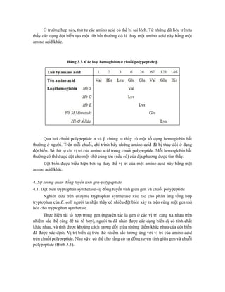 Ở trường hợp này, thứ tự các amino acid có thể bị sai lệch. Từ những dữ liệu trên ta
thấy các dạng đột biến tạo một Hb bất thường đó là thay một amino acid này bằng một
amino acid khác.
Bảng 3.3. Các loại hemoglobin ở chuỗi polypeptide β
Qua hai chuỗi polypeptide α và β chúng ta thấy có một số dạng hemoglobin bất
thường ở người. Trên mỗi chuỗi, chỉ trình bày những amino acid đã bị thay đổi ở dạng
đột biến. Số thứ tự chỉ vị trí của amino acid trong chuỗi polypeptide. Mỗi hemoglobin bất
thường có thể được đặt cho một chữ cùng tên (nếu có) của địa phương được tìm thấy.
Đột biến được biểu hiện bởi sự thay thế vị trí của một amino acid này bằng một
amino acid khác.
4. Sự tương quan đồng tuyến tính gen-polypeptide
4.1. Đột biến tryptophan synthetase-sự đồng tuyến tính giữa gen và chuỗi polypeptide
Nghiên cứu trên enzyme tryptophan synthetase xúc tác cho phản ứng tổng hợp
tryptophan của E. coli người ta nhận thấy có nhiều đột biến xảy ra trên cùng một gen mã
hóa cho tryptophan synthetase.
Thực hiện tái tổ hợp trong gen (nguyên tắc là gen ở các vị trí càng xa nhau trên
nhiễm sắc thể càng dễ tái tổ hợp), người ta đã nhận được các dạng biến dị có tính chất
khác nhau, và tính được khoảng cách tương đối giữa những điểm khác nhau của đột biến
đã được xác định. Vị trí biến dị trên thể nhiễm sắc tương ứng với vị trí của amino acid
trên chuỗi polypeptide. Như vậy, có thể cho rằng có sự đồng tuyến tính giữa gen và chuỗi
polypeptide (Hình 3.1).
 