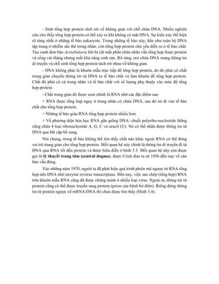 - Sinh tổng hợp protein tách rời về không gian với chỗ chứa DNA. Nhiều nghiên
cứu cho thấy tổng hợp protein có thể xảy ra khi không có mặt DNA. Sự kiện này thể hiện
rõ ràng nhất ở những tế bào eukaryote. Trong những tế bào này, hầu như toàn bộ DNA
tập trung ở nhiễm sắc thể trong nhân, còn tổng hợp protein chủ yếu diễn ra ở tế bào chất.
Tảo xanh đơn bào Acetabularia khi bị cắt mất phần chứa nhân vẫn tổng hợp được protein
và sống vài tháng nhưng mất khả năng sinh sản. Rõ ràng, nơi chứa DNA mang thông tin
di truyền và chỗ sinh tổng hợp protein tách rời nhau về không gian.
- DNA không phải là khuôn mẫu trực tiếp để tổng hợp protein, do đó phải có chất
trung gian chuyển thông tin từ DNA ra tế bào chất và làm khuôn để tổng hợp protein.
Chất đó phải có cả trong nhân và tế bào chất với số lượng phụ thuộc vào mức độ tổng
hợp protein.
- Chất trung gian đó được xem chính là RNA nhờ các đặc điểm sau:
+ RNA được tổng hợp ngay ở trong nhân có chứa DNA, sau đó nó đi vào tế bào
chất cho tổng hợp protein.
+ Những tế bào giàu RNA tổng hợp protein nhiều hơn.
+ Về phương diện hóa học RNA gần giống DNA: chuỗi polyribo-nucleotide thẳng
cũng chứa 4 loại ribonucleotide A, G, C và uracil (U). Nó có thể nhận được thông tin từ
DNA qua bắt cặp bổ sung.
Nói chung, trong tế bào không thể tìm thấy chất nào khác ngoài RNA có thể đóng
vai trò trung gian cho tổng hợp protein. Mối quan hệ này chính là thông tin di truyền đi từ
DNA qua RNA rồi đến protein và được biểu diễn ở hình 3.3. Mối quan hệ này còn được
gọi là lý thuyết trung tâm (central dogma), được Crick đưa ra từ 1956 đến nay về căn
bản vẫn đúng.
Vào những năm 1970, người ta đã phát hiện quá trình phiên mã ngược từ RNA tổng
hợp nên DNA nhờ enzyme reverse transcriptase. Đến nay, việc sao chép (tổng hợp) RNA
trên khuôn mẫu RNA cũng đã được chứng minh ở nhiều loại virus. Ngoài ra, thông tin từ
protein cũng có thể được truyền sang protein (prion của bệnh bò điên). Riêng dòng thông
tin từ protein ngược về mRNA/DNA thì chưa được tìm thấy (Hình 3.4).
 