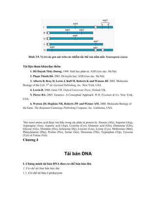 Hình 3.9. Vị trí các gen ade trên các nhiễm sắc thể của nấm mốc Neurospora crassa
Tài liệu tham khảo/đọc thêm
1. Hồ Huỳnh Thùy Dương. 1998. Sinh học phân tử. NXB Giáo dục, Hà Nội.
2. Phạm Thành Hổ. 2003. Di truyền học. NXB Giáo dục, Hà Nội.
3. Alberts B, Bray D, Lewis J, Raff M, Roberts K and Watson JD. 2002. Molecular
Biology of the Cell. 3rd
ed. Garland Publishing, Inc. New York, USA.
4. Lewin B. 2000. Gene VII. Oxford University Press, Oxford, UK.
5. Pierce BA. 2003. Genetics: A Conceptual Approach. W.H. Freeman & Co. New York,
USA.
6. Watson JD, Hopkins NH, Roberts JW and Weiner AM. 2004. Molecular Biology of
the Gene. The Benjamin/Cummings Publishing Company, Inc. California, USA.
1
Hai mươi amino acid được tìm thấy trong các phân tử protein là: Alanine (Ala), Arginine (Arg),
Asparagine (Asn), Aspartic acid (Asp), Cysteine (Cys), Glutamic acid (Glu), Glutamine (Gln),
Glycine (Gly), Histidine (His), Isoleucine (Ile), Leucine (Leu), Lysine (Lys), Methionine (Met),
Phenylalanine (Phe), Proline (Pro), Serine (Ser), Threonine (Thr), Tryptophan (Trp), Tyrosine
(Tyr) và Valine (Val).
Chương 4
Tái bản DNA
I. Chứng minh tái bản DNA theo cơ chế bán bảo thủ
1. Cơ chế tái bản bán bảo thủ
1.1. Cơ chế tái bản ở prokaryote
 