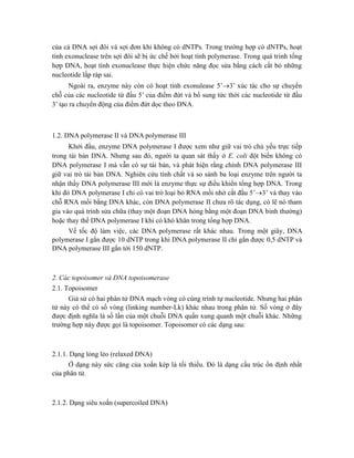 của cả DNA sợi đôi và sợi đơn khi không có dNTPs. Trong trường hợp có dNTPs, hoạt
tính exonuclease trên sợi đôi sẽ bị ức chế bởi hoạt tính polymerase. Trong quá trình tổng
hợp DNA, hoạt tính exonuclease thực hiện chức năng đọc sửa bằng cách cắt bỏ những
nucleotide lắp ráp sai.
Ngoài ra, enzyme này còn có hoạt tính exonulease 5’3’ xúc tác cho sự chuyển
chỗ của các nucleotide từ đầu 5’ của điểm đứt và bổ sung tức thời các nucleotide từ đầu
3’ tạo ra chuyển động của điểm đứt dọc theo DNA.
1.2. DNA polymerase II và DNA polymerase III
Khởi đầu, enzyme DNA polymerase I được xem như giữ vai trò chủ yếu trực tiếp
trong tái bản DNA. Nhưng sau đó, người ta quan sát thấy ở E. coli đột biến không có
DNA polymerase I mà vẫn có sự tái bản, và phát hiện rằng chính DNA polymerase III
giữ vai trò tái bản DNA. Nghiên cứu tính chất và so sánh ba loại enzyme trên người ta
nhận thấy DNA polymerase III mới là enzyme thực sự điều khiển tổng hợp DNA. Trong
khi đó DNA polymerase I chỉ có vai trò loại bỏ RNA mồi nhờ cắt đầu 5’3’ và thay vào
chỗ RNA mồi bằng DNA khác, còn DNA polymerase II chưa rõ tác dụng, có lẽ nó tham
gia vào quá trình sửa chữa (thay một đoạn DNA hỏng bằng một đoạn DNA bình thường)
hoặc thay thế DNA polymerase I khi có khó khăn trong tổng hợp DNA.
Về tốc độ làm việc, các DNA polymerase rất khác nhau. Trong một giây, DNA
polymerase I gắn được 10 dNTP trong khi DNA polymerase II chỉ gắn được 0,5 dNTP và
DNA polymerase III gắn tới 150 dNTP.
2. Các topoisomer và DNA topoisomerase
2.1. Topoisomer
Giả sử có hai phân tử DNA mạch vòng có cùng trình tự nucleotide. Nhưng hai phân
tử này có thể có số vòng (linking number-Lk) khác nhau trong phân tử. Số vòng ở đây
được định nghĩa là số lần của một chuỗi DNA quấn xung quanh một chuỗi khác. Những
trường hợp này được gọi là topoisomer. Topoisomer có các dạng sau:
2.1.1. Dạng lỏng lẻo (relaxed DNA)
Ở dạng này sức căng của xoắn kép là tối thiểu. Đó là dạng cấu trúc ổn định nhất
của phân tử.
2.1.2. Dạng siêu xoắn (supercoiled DNA)
 