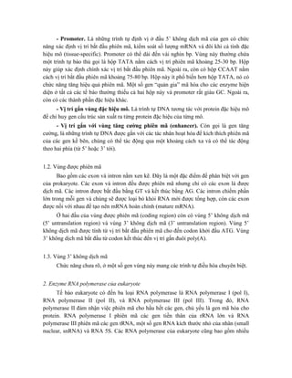 - Promoter. Là những trình tự định vị ở đầu 5’ không dịch mã của gen có chức
năng xác định vị trí bắt đầu phiên mã, kiểm soát số lượng mRNA và đôi khi cả tính đặc
hiệu mô (tissue-specific). Promoter có thể dài đến vài nghìn bp. Vùng này thường chứa
một trình tự bảo thủ gọi là hộp TATA nằm cách vị trí phiên mã khoảng 25-30 bp. Hộp
này giúp xác định chính xác vị trí bắt đầu phiên mã. Ngoài ra, còn có hộp CCAAT nằm
cách vị trí bắt đầu phiên mã khoảng 75-80 bp. Hộp này ít phổ biến hơn hộp TATA, nó có
chức năng tăng hiệu quả phiên mã. Một số gen “quản gia” mã hóa cho các enzyme hiện
diện ở tất cả các tế bào thường thiếu cả hai hộp này và promoter rất giàu GC. Ngoài ra,
còn có các thành phần đặc hiệu khác.
- Vị trí gắn vùng đặc hiệu mô. Là trình tự DNA tương tác với protein đặc hiệu mô
để chỉ huy gen cấu trúc sản xuất ra từng protein đặc hiệu của từng mô.
- Vị trí gắn với vùng tăng cường phiên mã (enhancer). Còn gọi là gen tăng
cường, là những trình tự DNA được gắn với các tác nhân hoạt hóa để kích thích phiên mã
của các gen kề bên, chúng có thể tác động qua một khoảng cách xa và có thể tác động
theo hai phía (từ 5’ hoặc 3’ tới).
1.2. Vùng được phiên mã
Bao gồm các exon và intron nằm xen kẽ. Đây là một đặc điểm để phân biệt với gen
của prokaryote. Các exon và intron đều được phiên mã nhưng chỉ có các exon là được
dịch mã. Các intron được bắt đầu bằng GT và kết thúc bằng AG. Các intron chiếm phần
lớn trong mỗi gen và chúng sẽ được loại bỏ khỏi RNA mới được tổng hợp, còn các exon
được nối với nhau để tạo nên mRNA hoàn chỉnh (mature mRNA).
Ở hai đầu của vùng được phiên mã (coding region) còn có vùng 5’ không dịch mã
(5’ untranslation region) và vùng 3’ không dịch mã (3’ untranslation region). Vùng 5’
không dịch mã được tính từ vị trí bắt đầu phiên mã cho đến codon khởi đầu ATG. Vùng
3’ không dịch mã bắt đầu từ codon kết thúc đến vị trí gắn đuôi poly(A).
1.3. Vùng 3’ không dịch mã
Chức năng chưa rõ, ở một số gen vùng này mang các trình tự điều hòa chuyên biệt.
2. Enzyme RNA polymerase của eukaryote
Tế bào eukaryote có đến ba loại RNA polymerase là RNA polymerase I (pol I),
RNA polymerase II (pol II), và RNA polymerase III (pol III). Trong đó, RNA
polymerase II đảm nhận việc phiên mã cho hầu hết các gen, chủ yếu là gen mã hóa cho
protein. RNA polymerase I phiên mã các gen tiền thân của rRNA lớn và RNA
polymerase III phiên mã các gen tRNA, một số gen RNA kích thước nhỏ của nhân (small
nuclear, snRNA) và RNA 5S. Các RNA polymerase của eukaryote cũng bao gồm nhiều
 