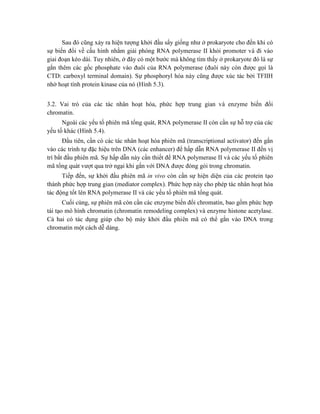 Sau đó cũng xảy ra hiện tượng khởi đầu sẩy giống như ở prokaryote cho đến khi có
sự biến đổi về cấu hình nhằm giải phóng RNA polymerase II khỏi promoter và đi vào
giai đoạn kéo dài. Tuy nhiên, ở đây có một bước mà không tìm thấy ở prokaryote đó là sự
gắn thêm các gốc phosphate vào đuôi của RNA polymerase (đuôi này còn được gọi là
CTD: carboxyl terminal domain). Sự phosphoryl hóa này cũng được xúc tác bởi TFIIH
nhờ hoạt tính protein kinase của nó (Hình 5.3).
3.2. Vai trò của các tác nhân hoạt hóa, phức hợp trung gian và enzyme biến đổi
chromatin.
Ngoài các yếu tố phiên mã tổng quát, RNA polymerase II còn cần sự hỗ trợ của các
yếu tố khác (Hình 5.4).
Đầu tiên, cần có các tác nhân hoạt hóa phiên mã (transcriptional activator) đến gắn
vào các trình tự đặc hiệu trên DNA (các enhancer) để hấp dẫn RNA polymerase II đến vị
trí bắt đầu phiên mã. Sự hấp dẫn này cần thiết để RNA polymerase II và các yếu tố phiên
mã tổng quát vượt qua trở ngại khi gắn với DNA được đóng gói trong chromatin.
Tiếp đến, sự khởi đầu phiên mã in vivo còn cần sự hiện diện của các protein tạo
thành phức hợp trung gian (mediator complex). Phức hợp này cho phép tác nhân hoạt hóa
tác động tốt lên RNA polymerase II và các yếu tố phiên mã tổng quát.
Cuối cùng, sự phiên mã còn cần các enzyme biến đổi chromatin, bao gồm phức hợp
tái tạo mô hình chromatin (chromatin remodeling complex) và enzyme histone acetylase.
Cả hai có tác dụng giúp cho bộ máy khởi đầu phiên mã có thể gắn vào DNA trong
chromatin một cách dễ dàng.
 