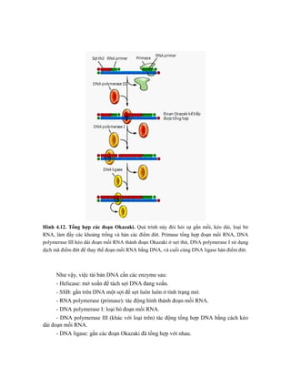 Giáo trình sinh học phân tử.pdf