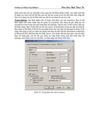 Tröôøng Cao Ñaúng Coâng Nghieäp 4                            Khoa Coâng Ngheä Thoâng Tin

danh sách, thực thi các cập nhật song song trên hệ thống nhiều CSDL, xác nhận tính hợp
lệ nhập vào trước khi tải dữ liệu, gọi các thủ tục trong sự trả lời đến điều kiện nhập dữ
liệu và sử dụng các giá trị biến toàn cục như là các tham số của truy vấn.
Trang Options: bạn định nghĩa một số thuộc tính thêm vào cho transform. Bạn có thể
định nghĩa một hoặc nhiều tập tin ngoại lệ (exception file) dùng để ghi nhận lại các
exception record trong suốt quá trình thực thi package. Tập tin này có thể ở trên ổ đĩa cục
bộ hoặc mạng. Bạn có thể tách các lỗi của source và destination trong các tập tin riêng lẽ.
Bạn cũng có thể định số lỗi tối đa cho phép trước khi việc thực thi package bị dừng. Cuối
cùng, bạn cũng có thể xác định các thuộc tính thực thi đặc biệt khi destination connection
là Microsoft OLE DB Provider for SQL Server. Các thuộc tính này bao gồm việc chỉ định
thực thi bulk-copy với tốc độ cao, kiểm tra ràng buộc trong suốt quá trình thực thi
package, kiểu khóa, kích cở của khối, và nhận dạng các thuộc tính chèn….




                           Hình 35: Trang khai báo một số option
 