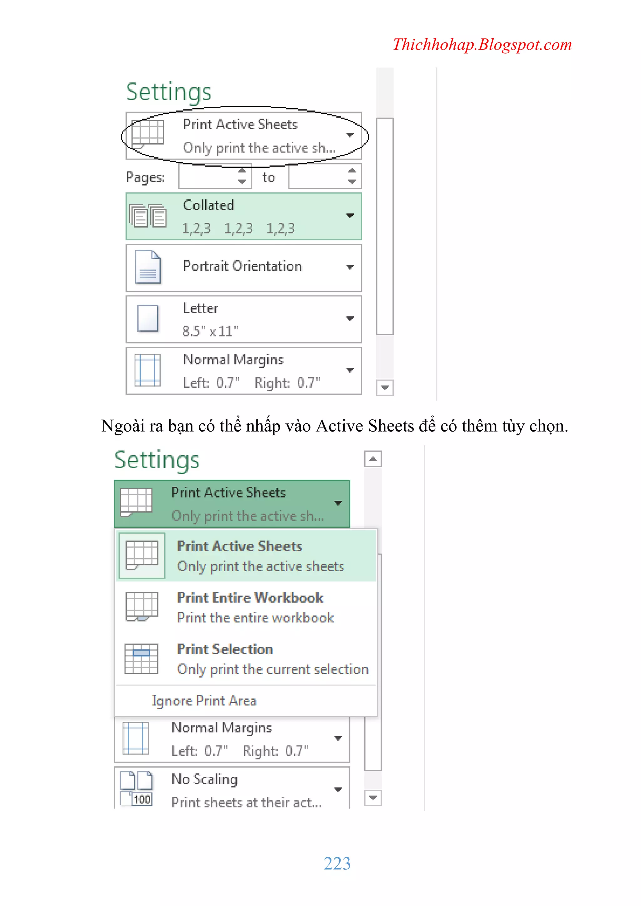 Thichhohap.Blogspot.com

Ngoài ra bạn có thể nhấp vào Active Sheets để có thêm tùy chọn.

223

 
