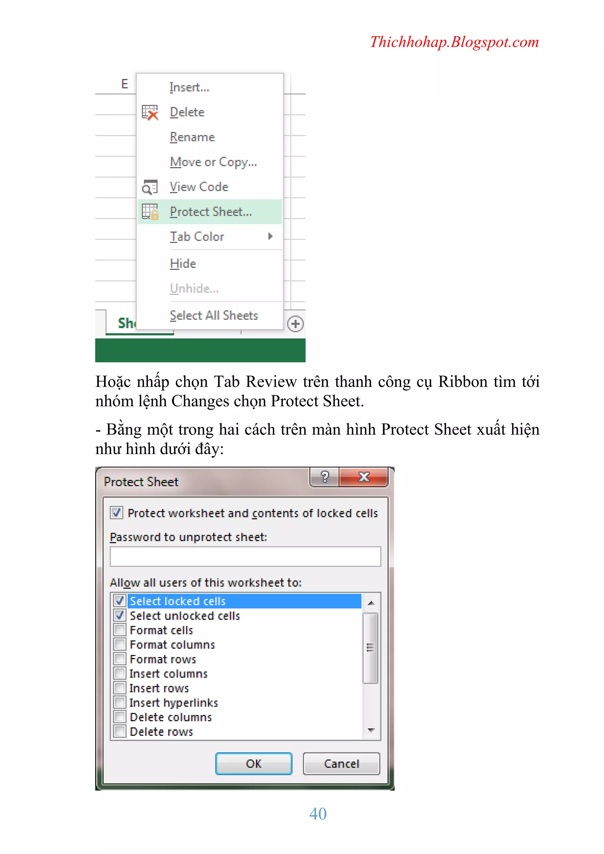 Thichhohap.Blogspot.com

Hoặc nhấp chọn Tab Review trên thanh công cụ Ribbon tìm tới
nhóm lệnh Changes chọn Protect Sheet.
- Bằng một trong hai cách trên màn hình Protect Sheet xuất hiện
như hình dưới đây:

40

 