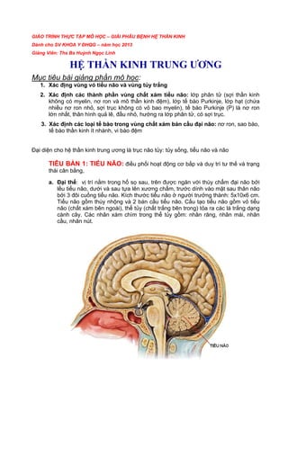 Mô hình giải phẫu hệ cơ xương đầu mặt cổ