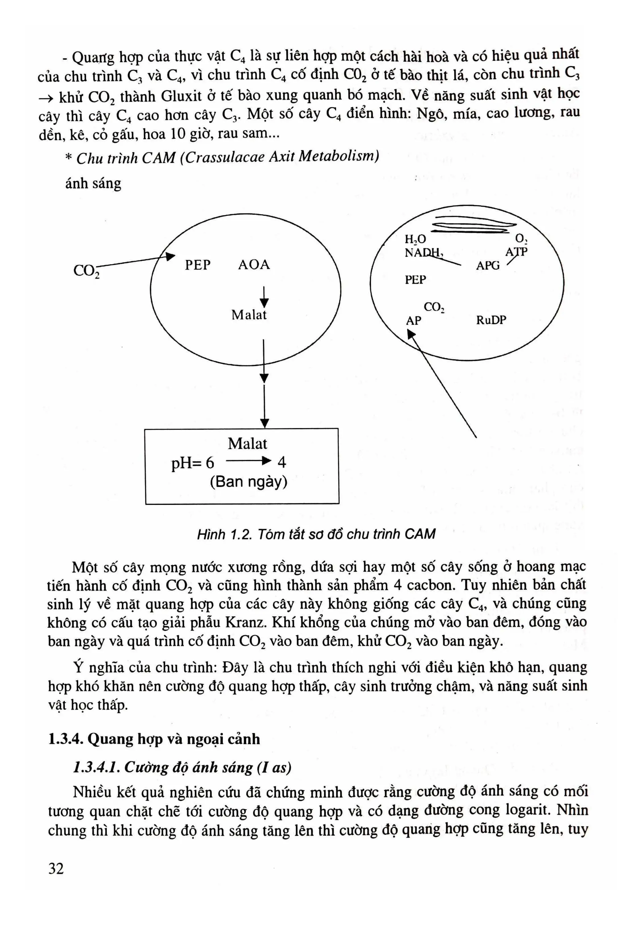 Giáo trình trồng trọt đại cương - Đặng Văn Minh;Đỗ Tuấn Khiêm;Nguyễn ...