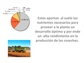 Estos aportan al suelo los
 nutrientes necesarios para
   proveer a la planta un
desarrollo óptimo y por ende
 un alto rendimiento en la
producción de las cosechas.
 