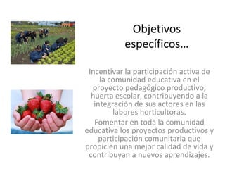 Objetivos 
           específicos…

 Incentivar la participación activa de 
     la comunidad educativa en el 
  proyecto pedagógico productivo, 
  huerta escolar, contribuyendo a la 
   integración de sus actores en las 
         labores horticultoras.
   Fomentar en toda la comunidad 
educativa los proyectos productivos y 
     participación comunitaria que 
propicien una mejor calidad de vida y 
 contribuyan a nuevos aprendizajes.
 