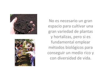 No es necesario un gran 
espacio para cultivar una 
 gran variedad de plantas 
  y hortalizas, pero si es 
   fundamental emplear 
 métodos biológicos para 
conseguir un medio rico y 
  con diversidad de vida.
 