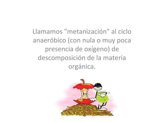 Llamamos "metanización" al ciclo
anaeróbico (con nula o muy poca
    presencia de oxígeno) de
  descomposición de la materia
           orgánica.
 