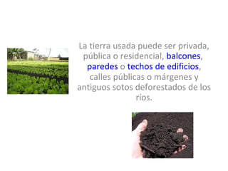 La tierra usada puede ser privada,
 pública o residencial, balcones,
  paredes o techos de edificios,
   calles públicas o márgenes y
antiguos sotos deforestados de los
                ríos.
 