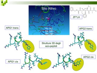 Strutture 3D degli azo-peptidi APG1 trans APG2 trans Sito Attivo His 142 His 146 Glu 166 APG1 cis APG2 cis ZF P LA 