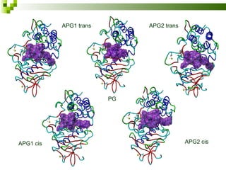 PG APG1 trans APG1 cis APG2 trans APG2 cis 