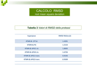 Tabella 3  Valori di RMSD della proteasi  CALCOLO  RMSD root mean square deviation Superpose RMSD Molecule  4TMN &  ZF P LA 1.4391 4TMN & PG 1.3154 4TMN & APG1 cis 1.8005 4TMN & APG2 cis 1.6726 4TMN & APG1 trans 0.9192 4TMN & APG2 trans 0.9509 