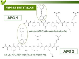 PEPTIDI SINTETIZZATI   Ala-Leu-(AZO-Tyr)-Leu-Ala-Ile-Arg-Lys-Arg Ala-Leu-(CH 3 -AZO-Tyr)-Leu-Ala-Ile-Arg-Lys-Arg 